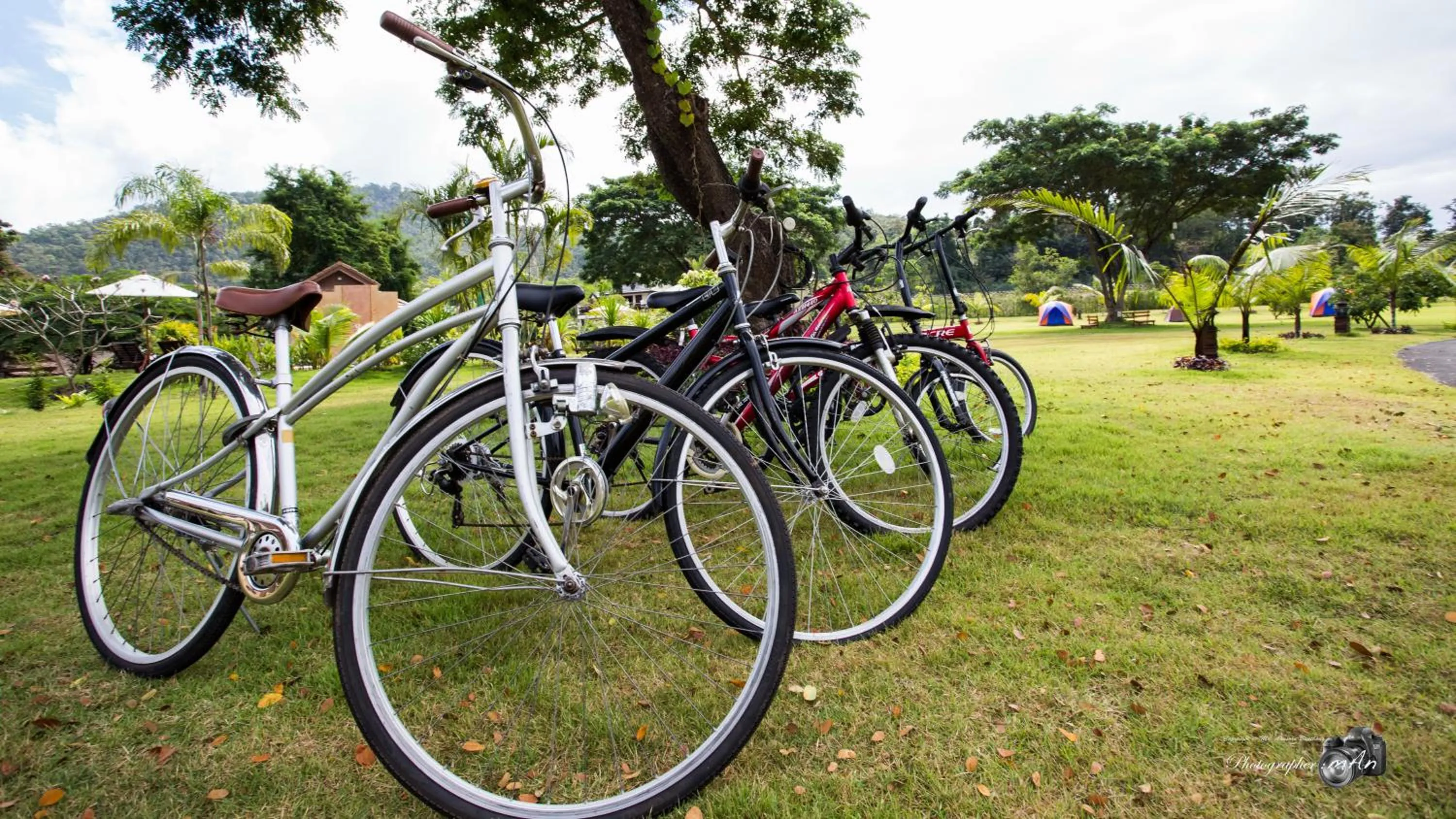 Activities in Papai Country Lodge SHA