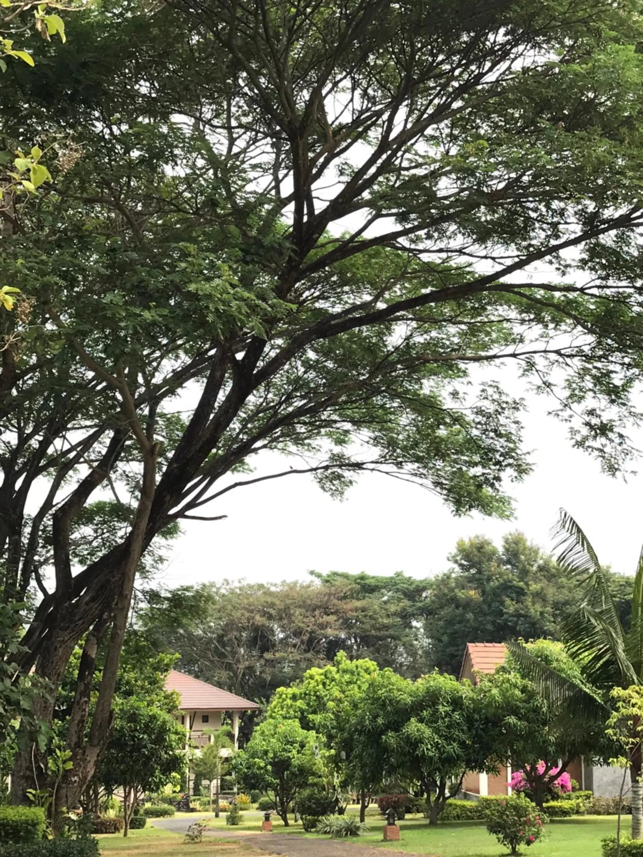 Property building in Papai Country Lodge SHA