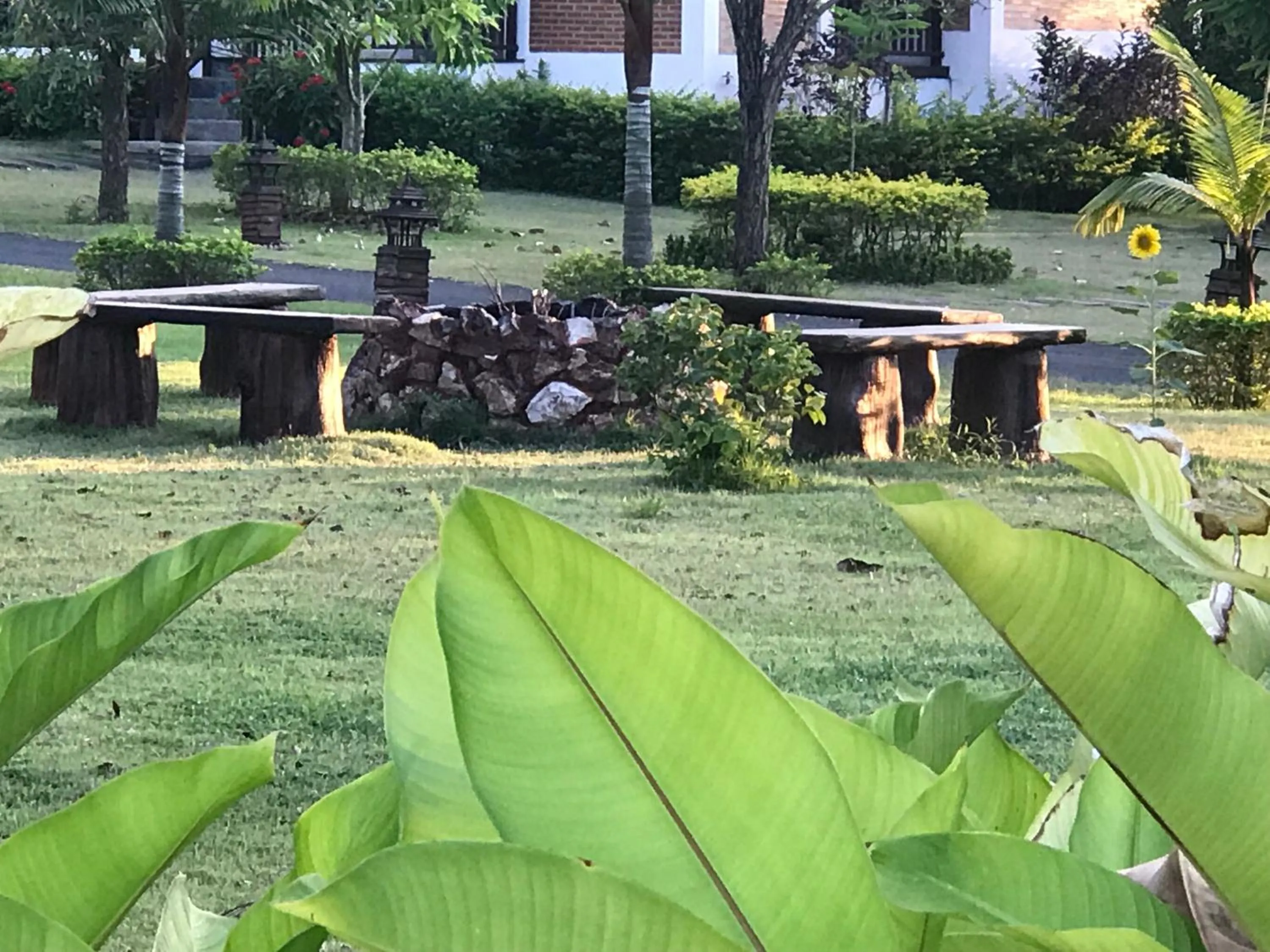 Area and facilities in Papai Country Lodge SHA