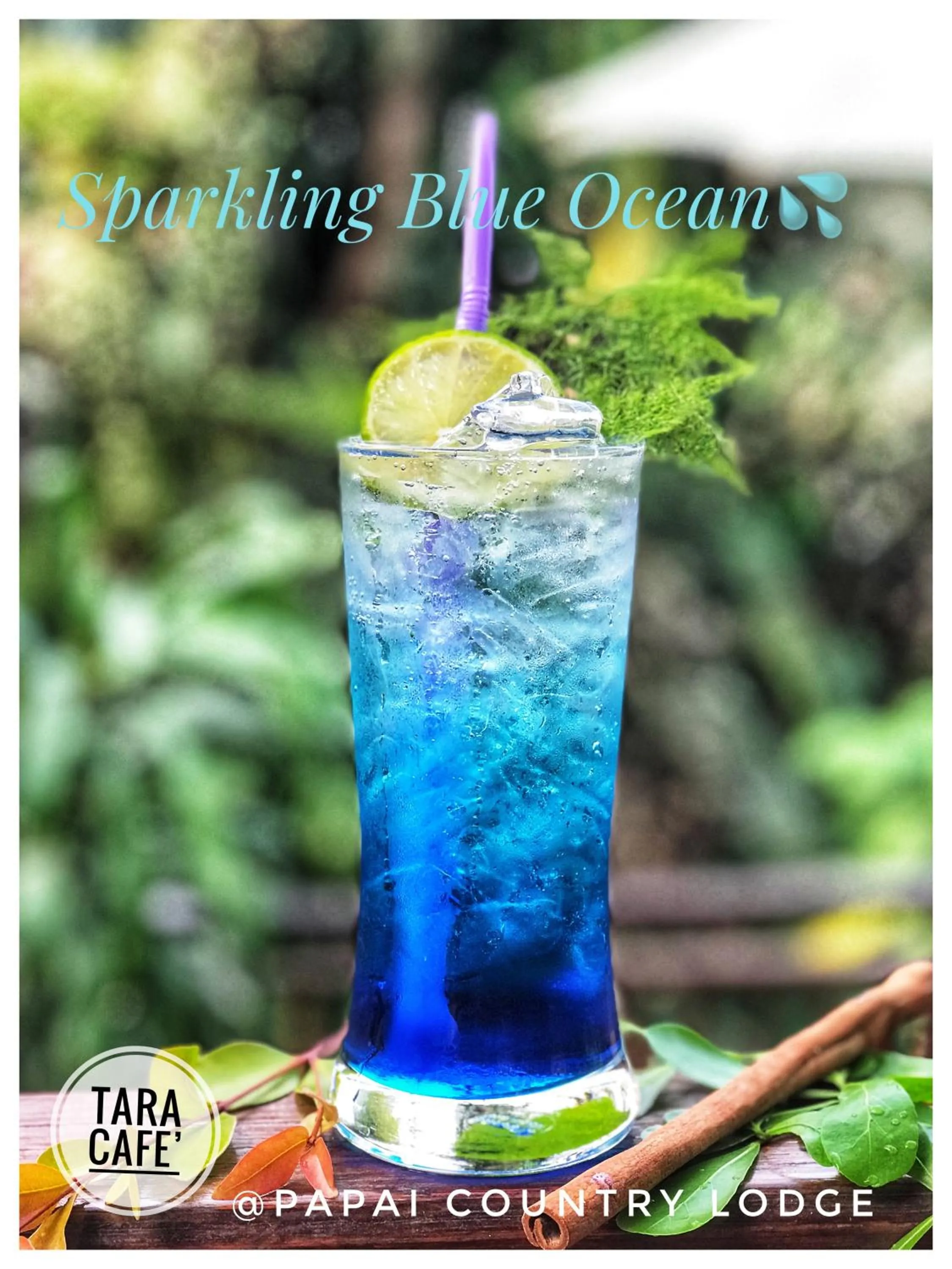 Food and drinks in Papai Country Lodge SHA