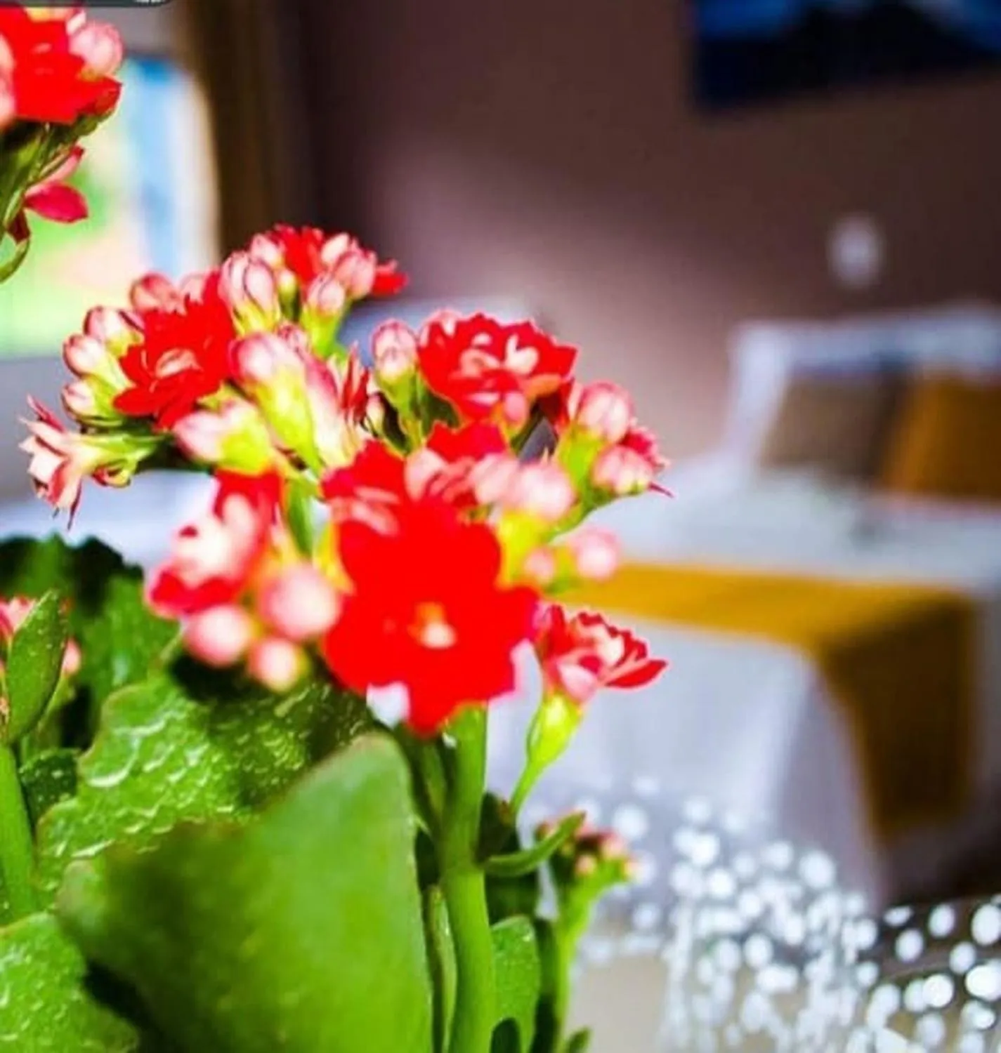 Decorative detail in Pousada Recanto da Cascata