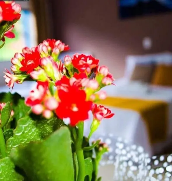 Bedroom in Pousada Recanto da Cascata