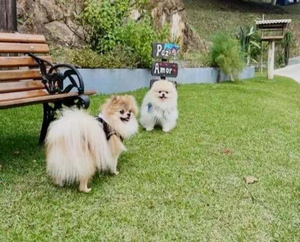 Pousada Recanto da Cascata