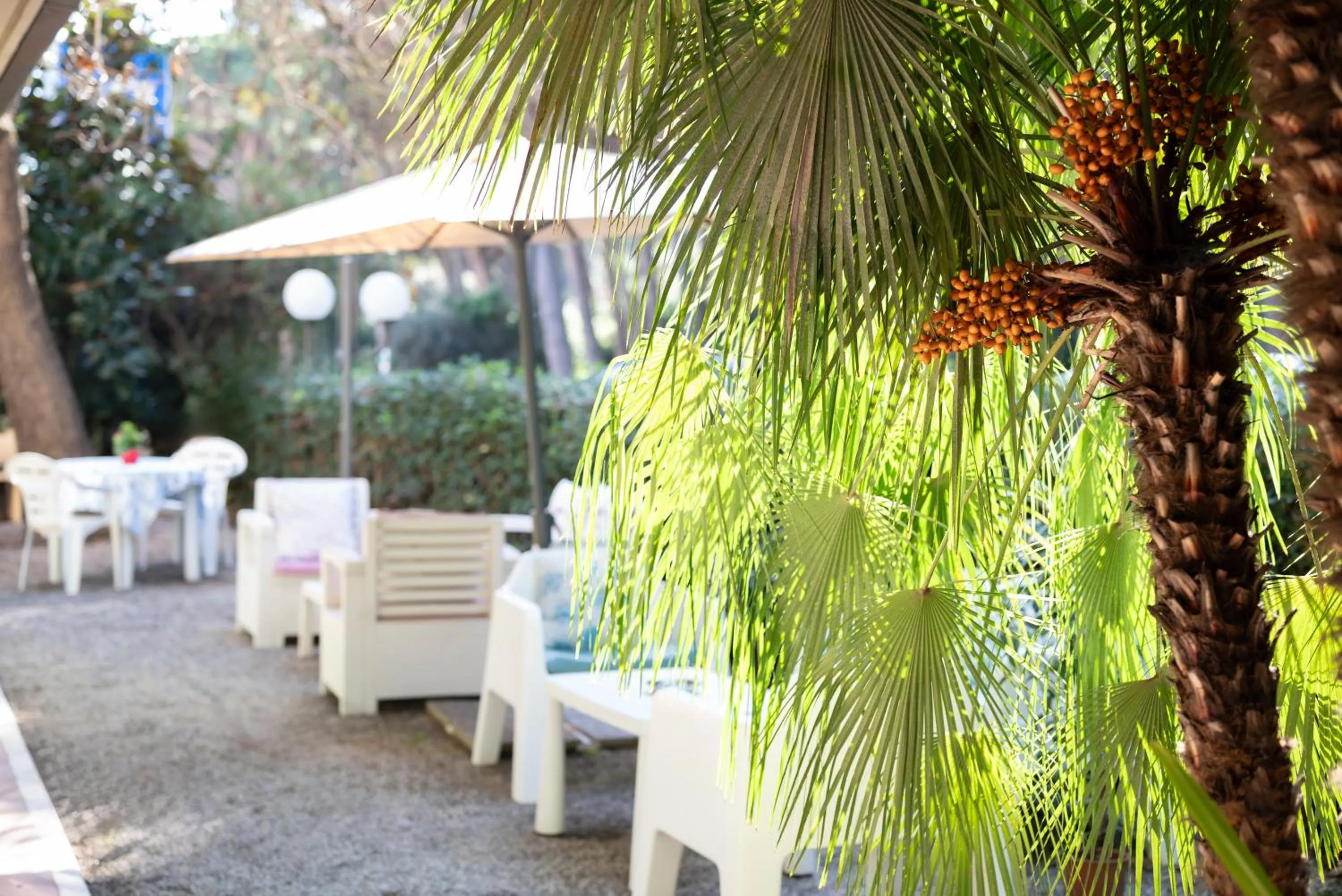 Patio in Hotel Parco dei Pini - 100mt dal Mare