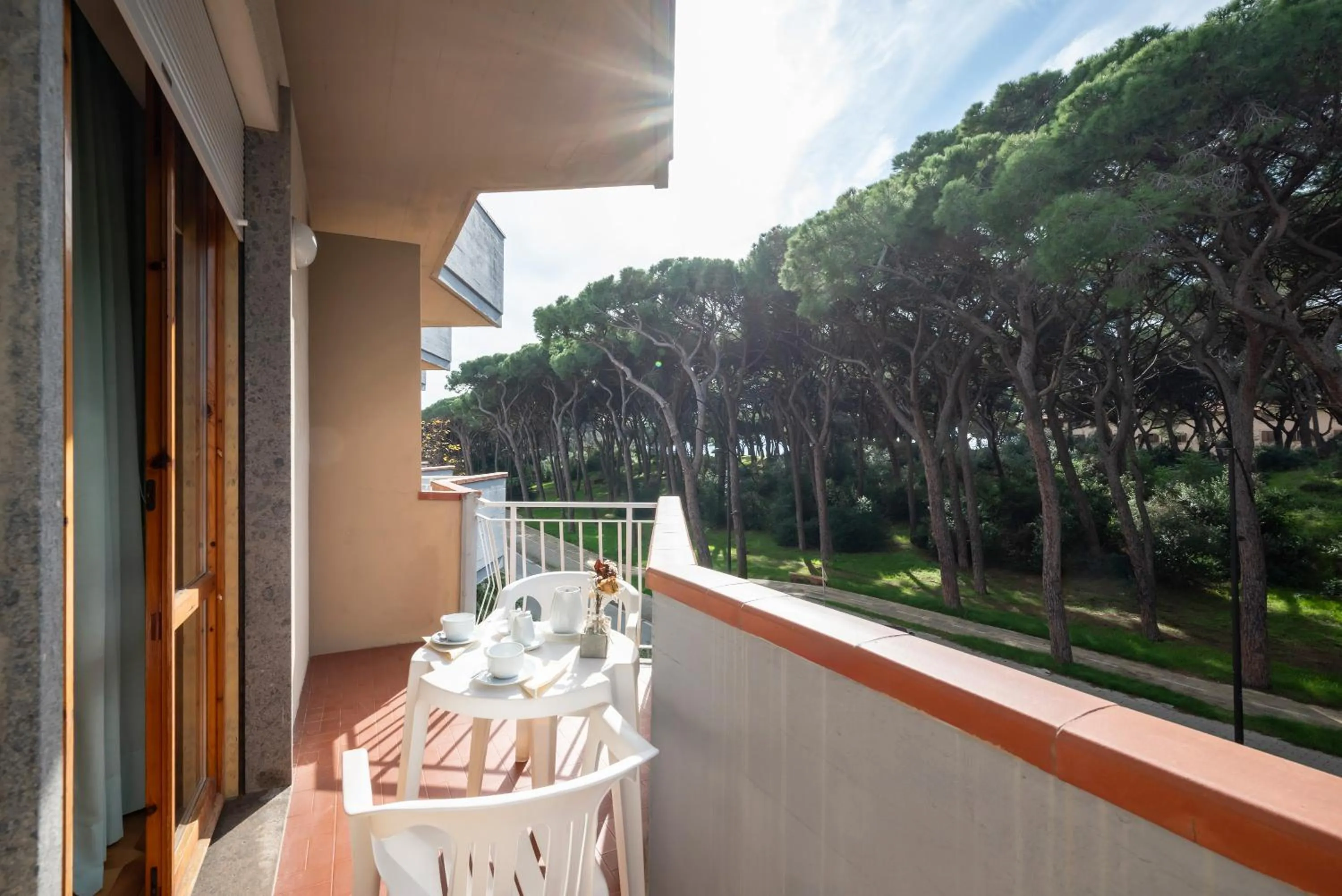 Natural landscape in Hotel Parco dei Pini - 100mt dal Mare