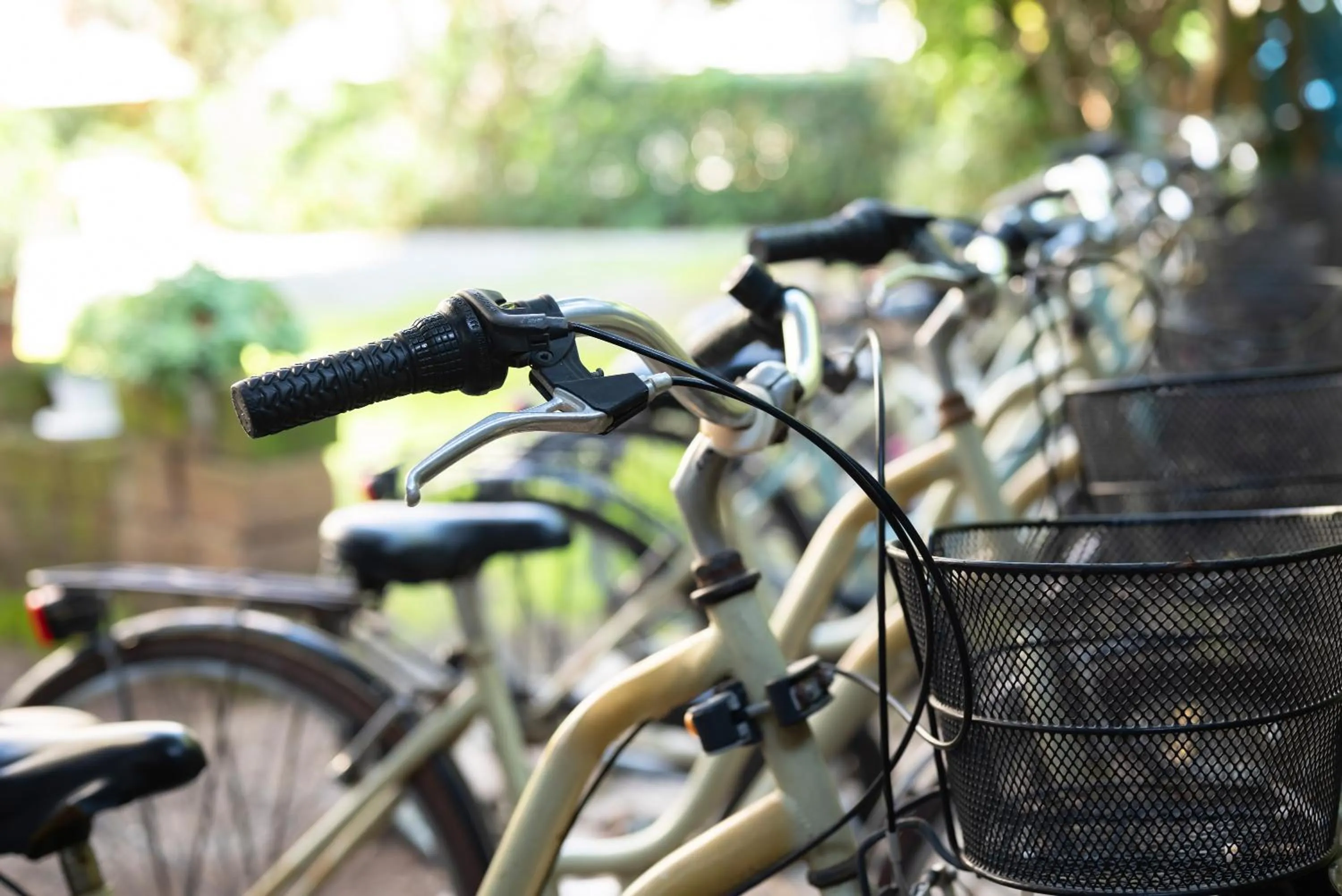 Day in Hotel Parco dei Pini - 100mt dal Mare