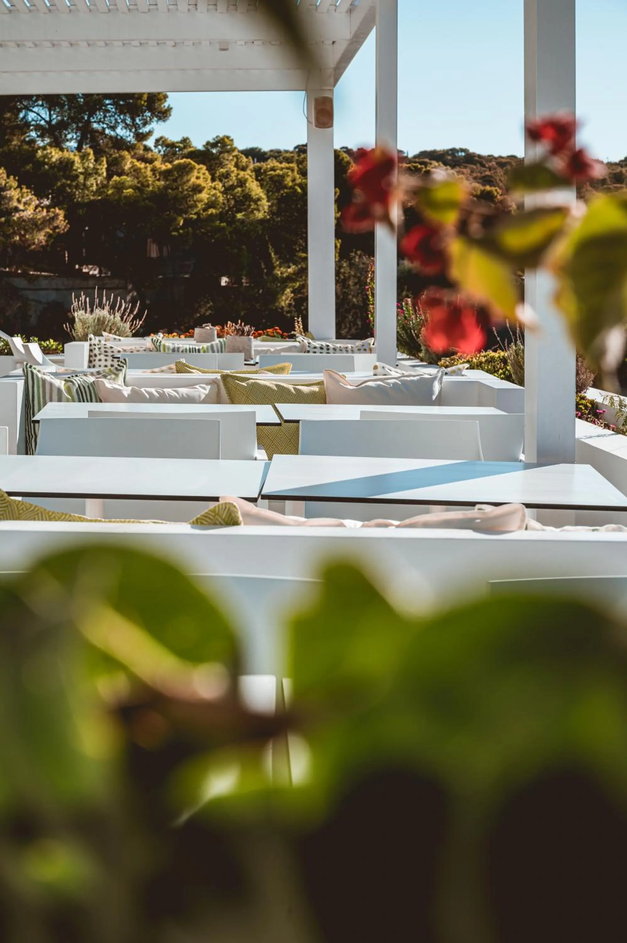 Restaurant/places to eat in Apollo Resort