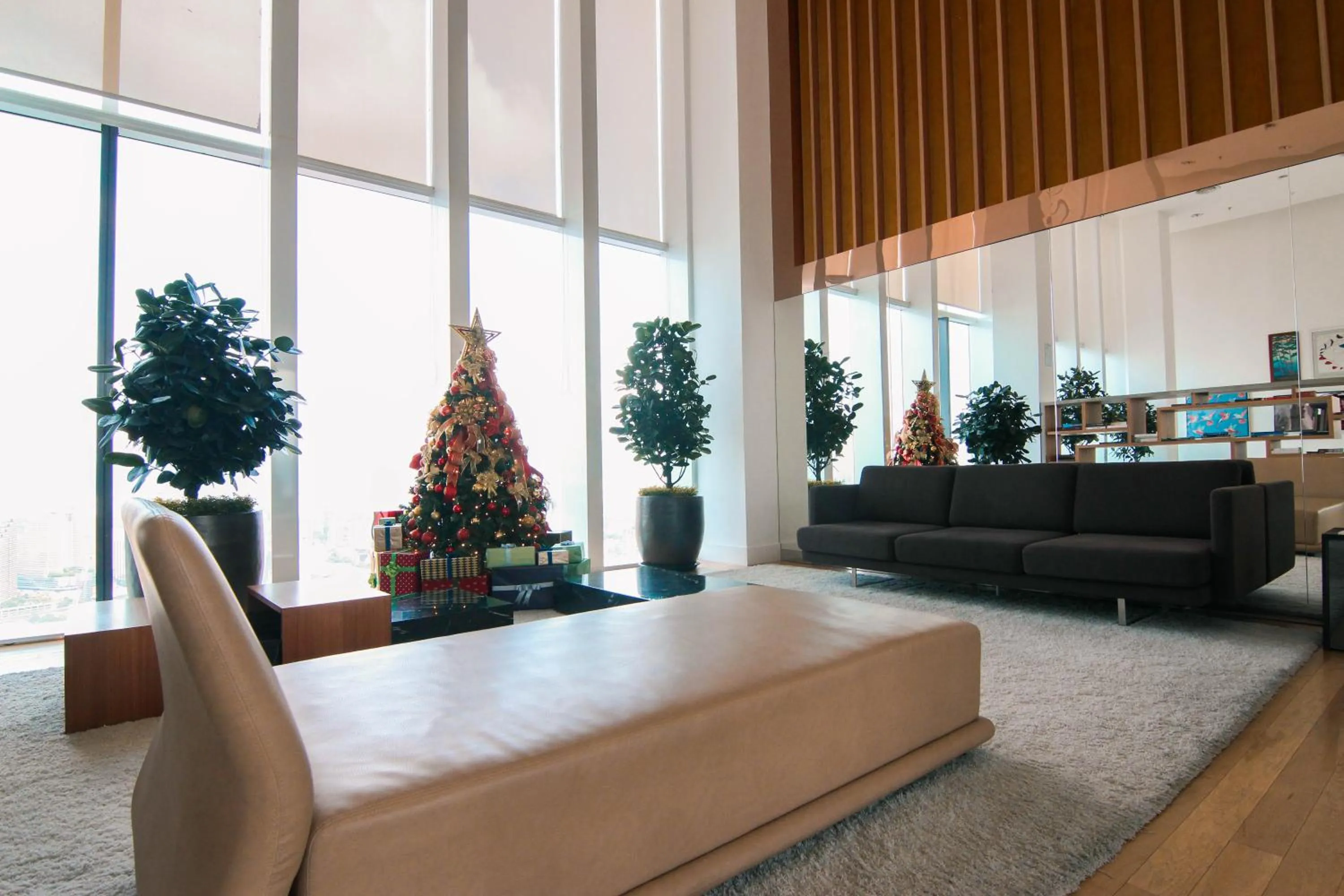 Library in Dolphin Platinum KLCC Kuala Lumpur