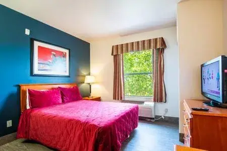 The Vistas 119 Modern studio with full kitchen 1st floor great location The Vistas 119 Modern studio with full kitchen 1st floor great location