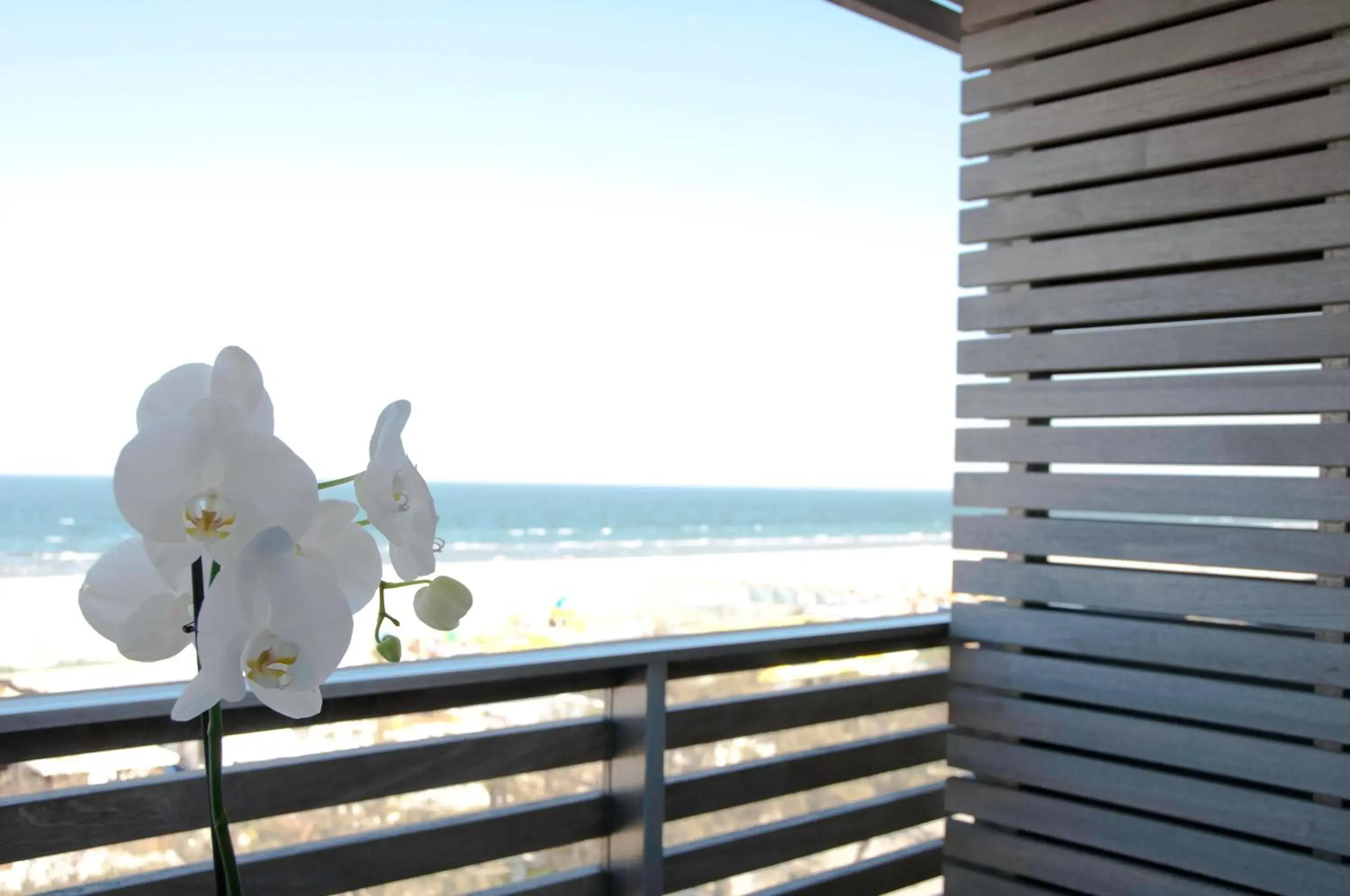 Triple Room with Sea View in Kiss Beachfront Hotel & Restaurant Triple Room with Sea View in Kiss Beachfront Hotel & Restaurant