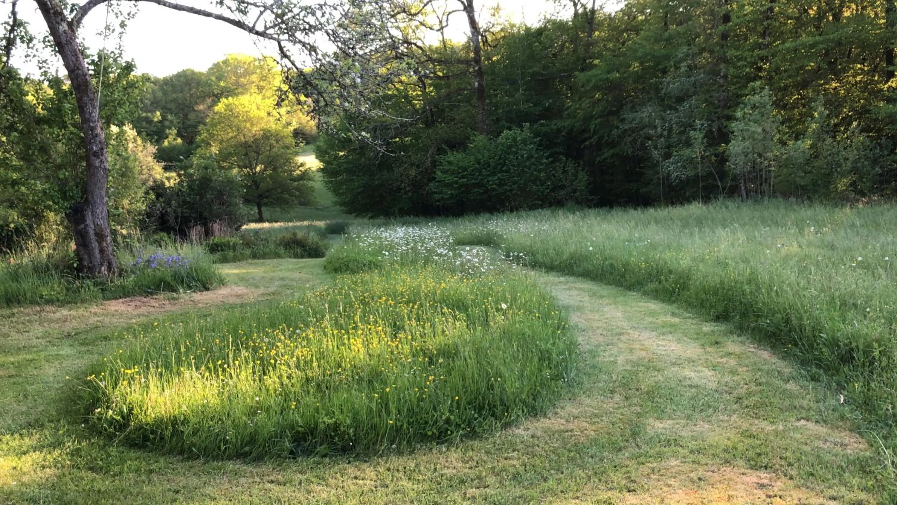 Natural landscape in MaBelle rêve B&B