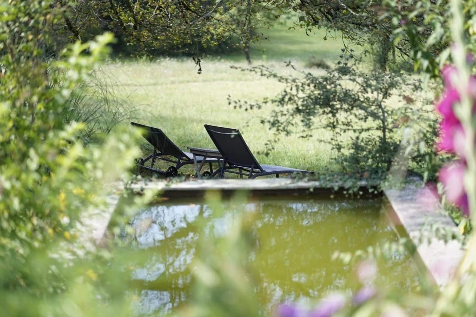 Garden in MaBelle rêve B&B