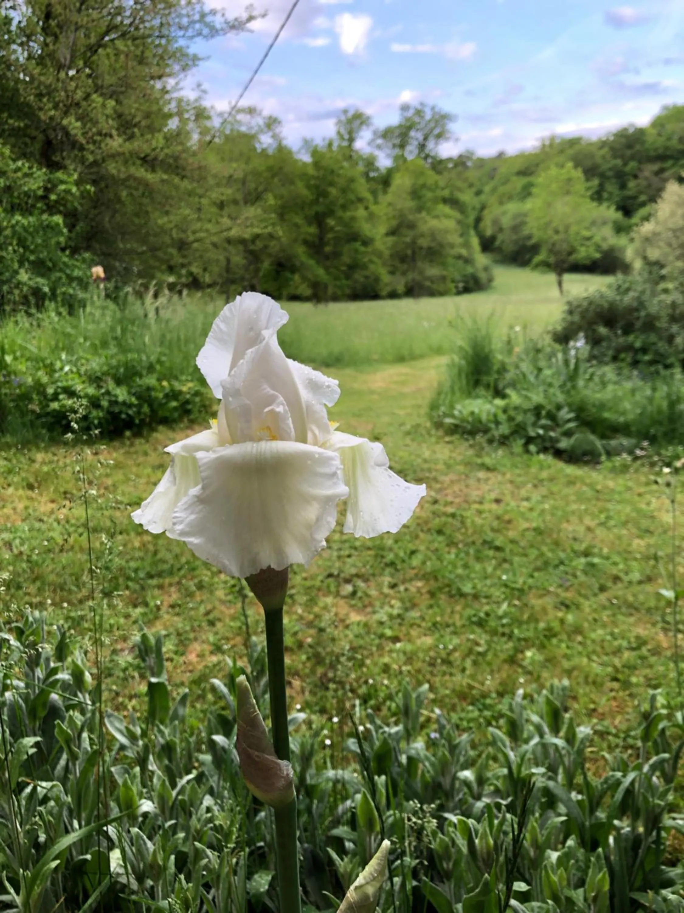 Natural landscape in MaBelle rêve B&B
