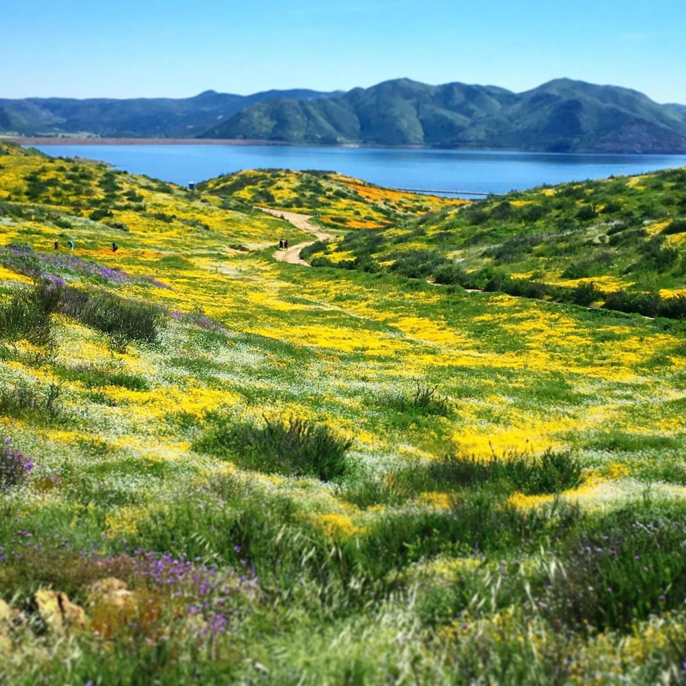 Fishing in Balloons and Wine