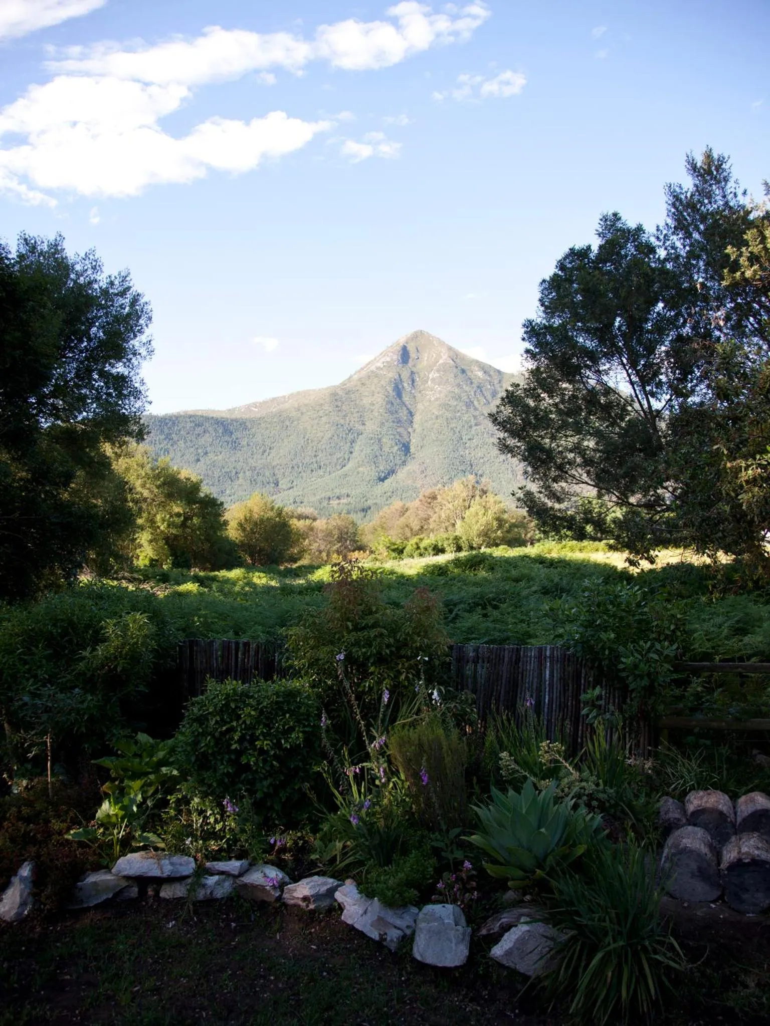 Garden in Andelomi Forest Lodge
