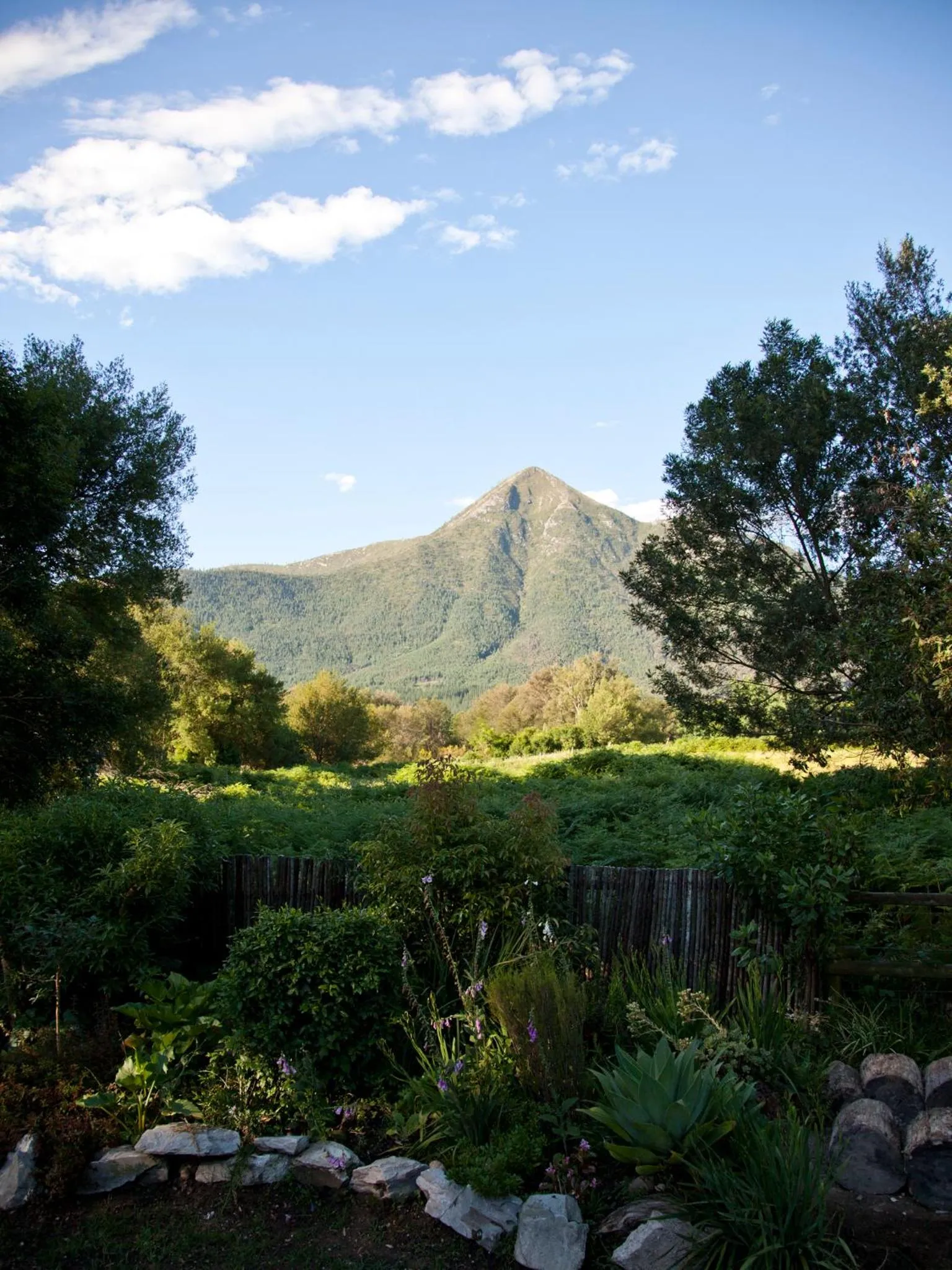 Garden in Andelomi Forest Lodge