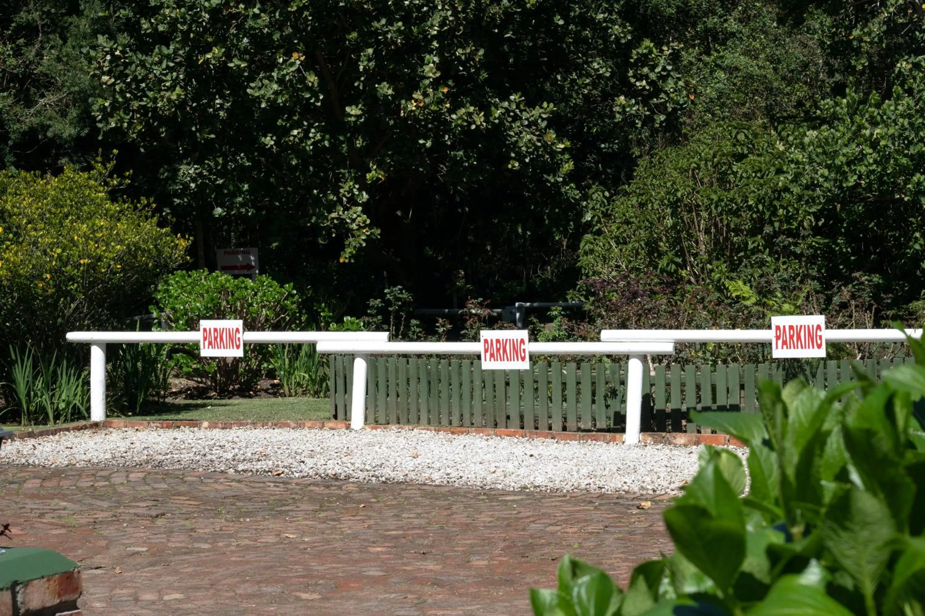 Garden in Andelomi Forest Lodge