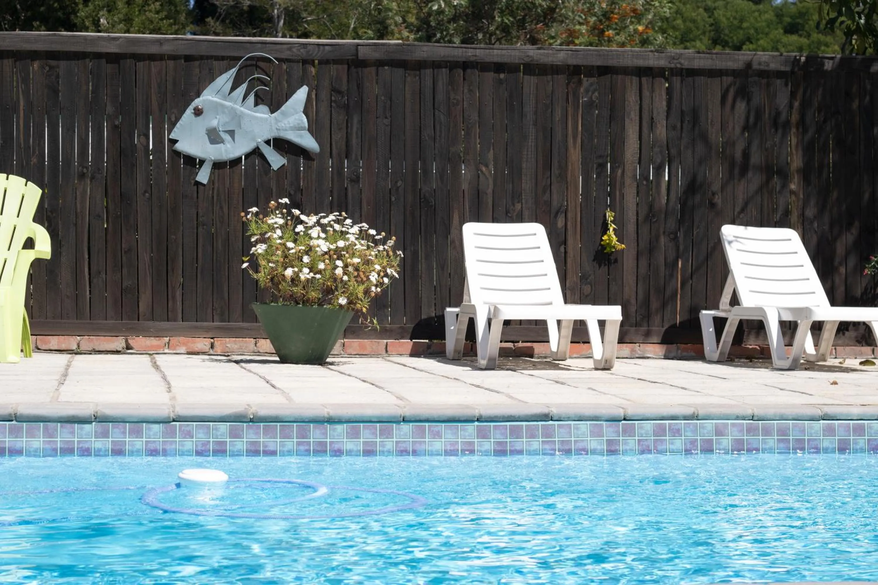 Swimming pool in Andelomi Forest Lodge