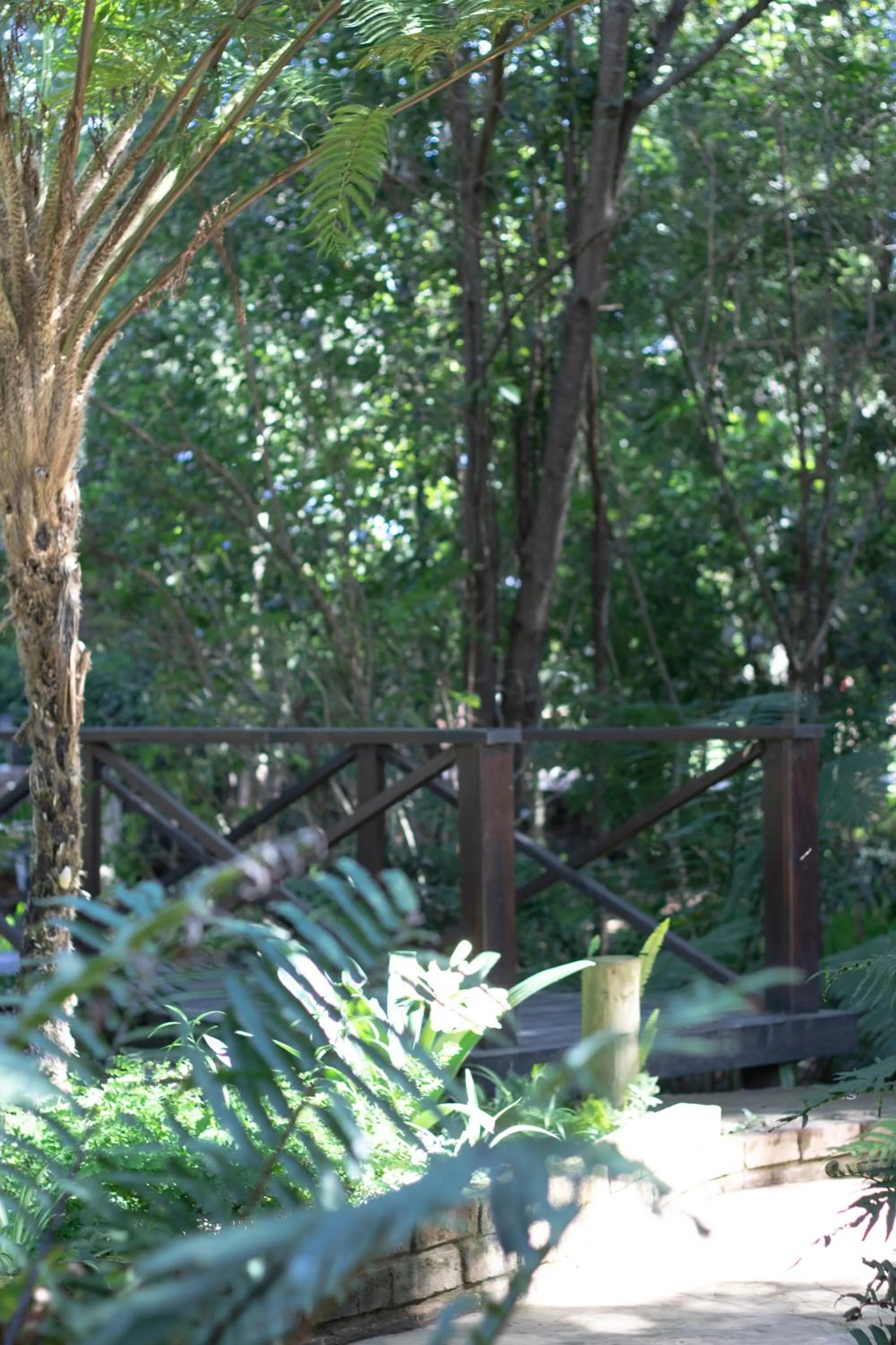 Garden view in Andelomi Forest Lodge