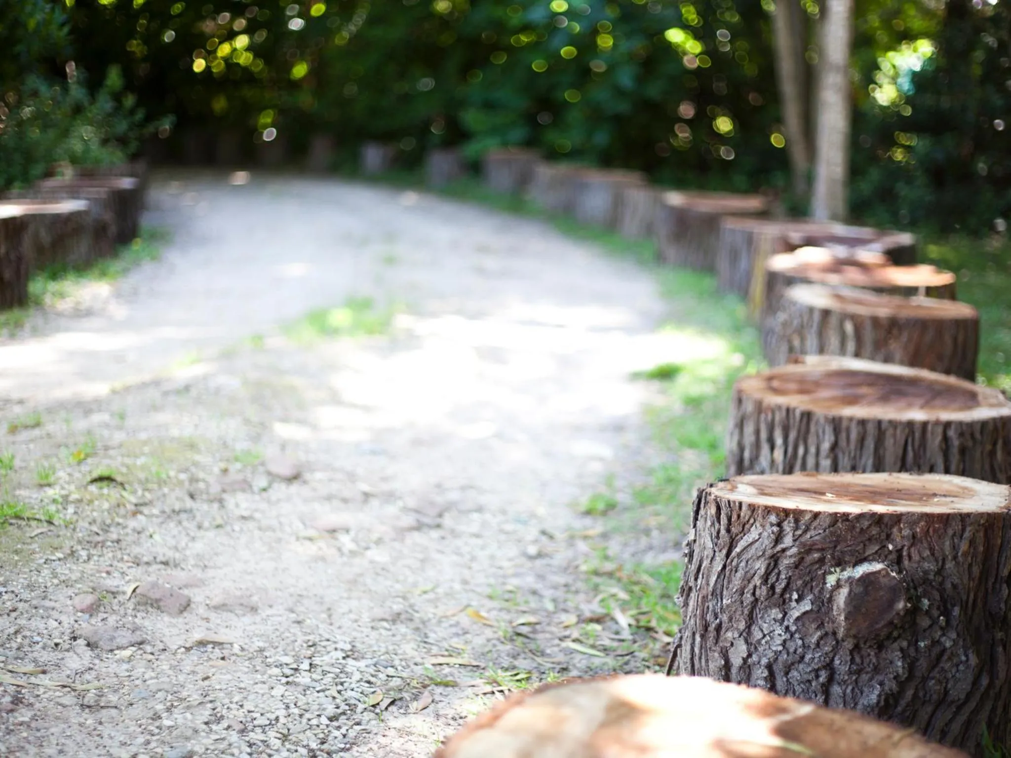 Facade/entrance in Andelomi Forest Lodge