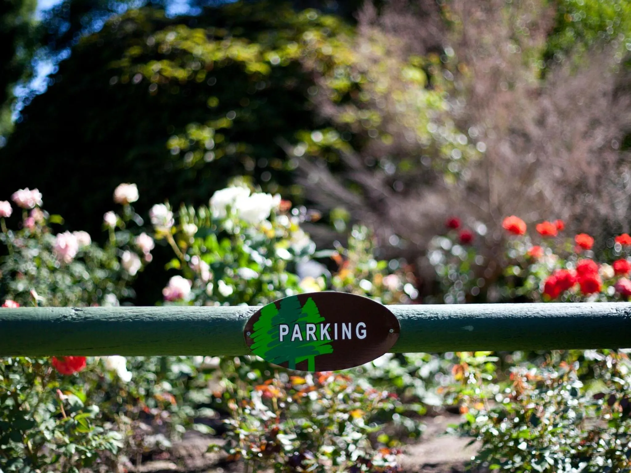 Garden in Andelomi Forest Lodge