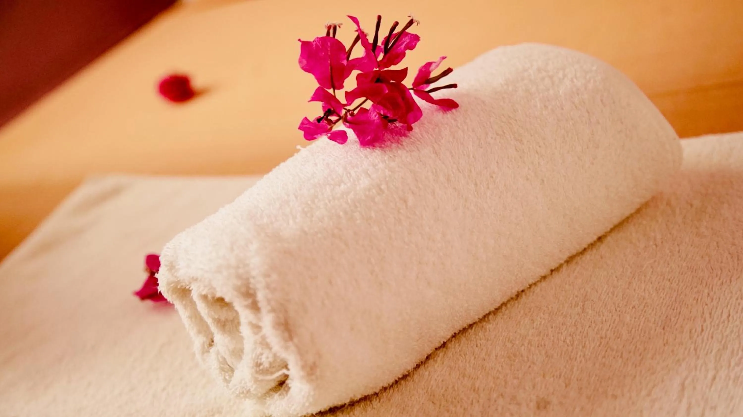 Bathroom, Bed in Hotel-Residence Au Sable Blanc