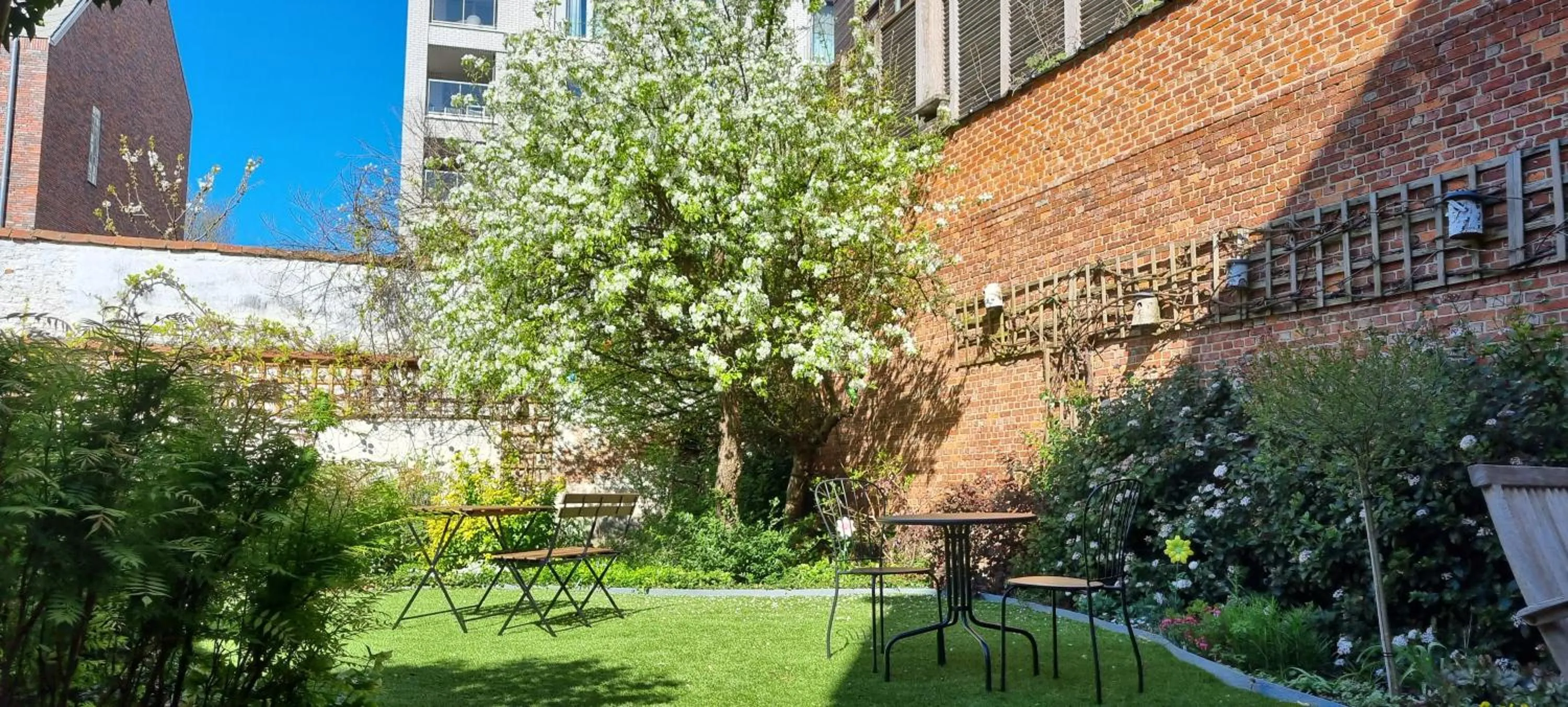 Garden in BnB De Koepoort