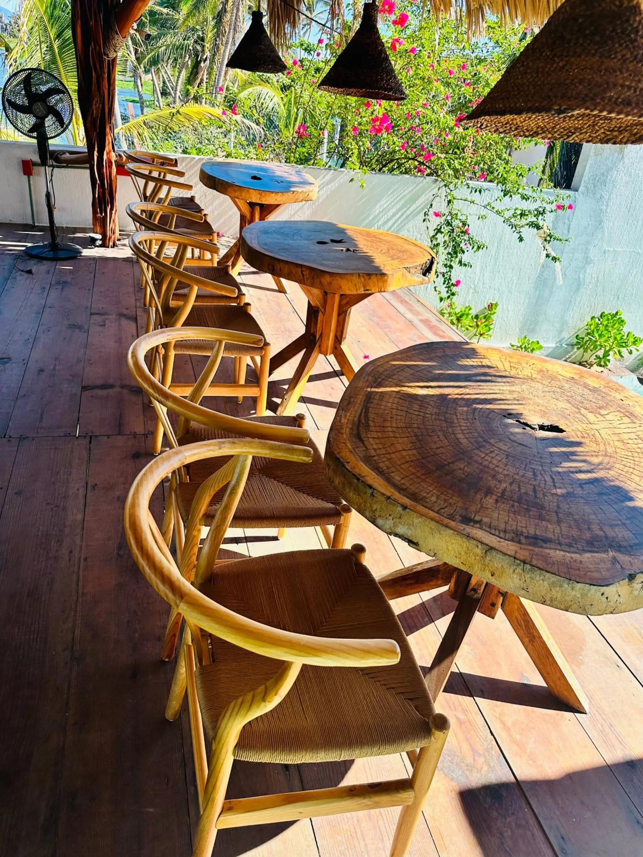 Restaurant/places to eat in Hotel Boutique Punta Jamaica