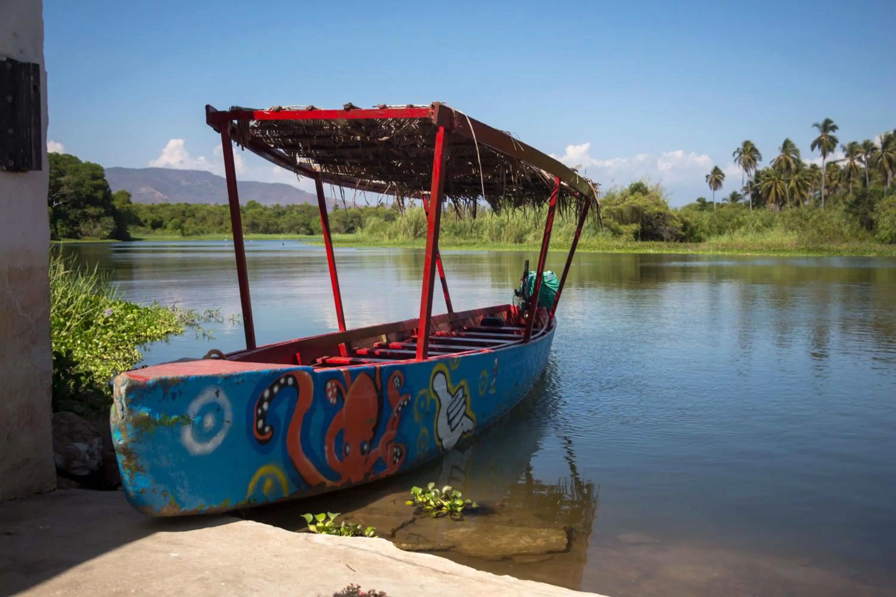Activities in Hotel Boutique Punta Jamaica