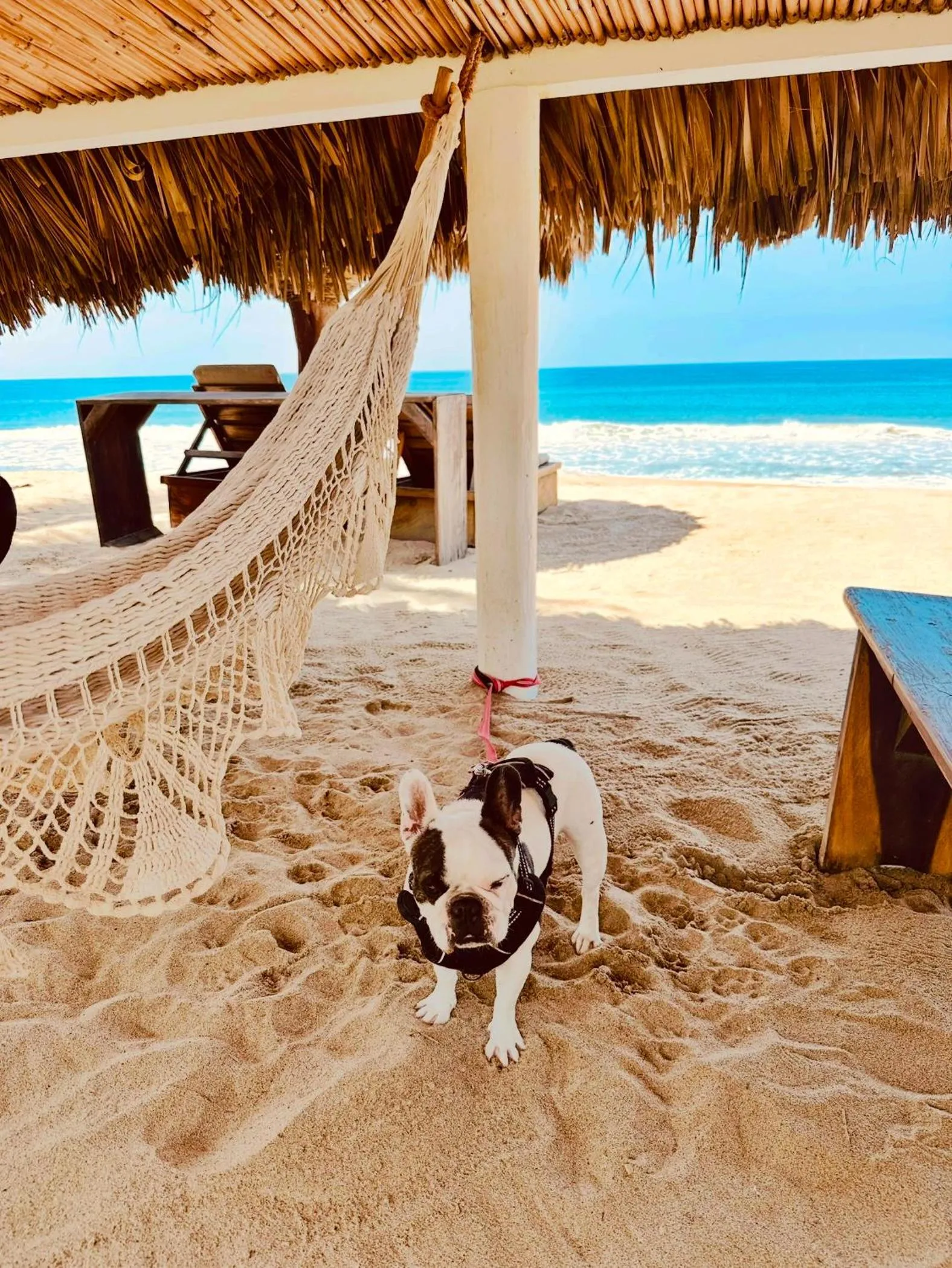 Beach in Hotel Boutique Punta Jamaica