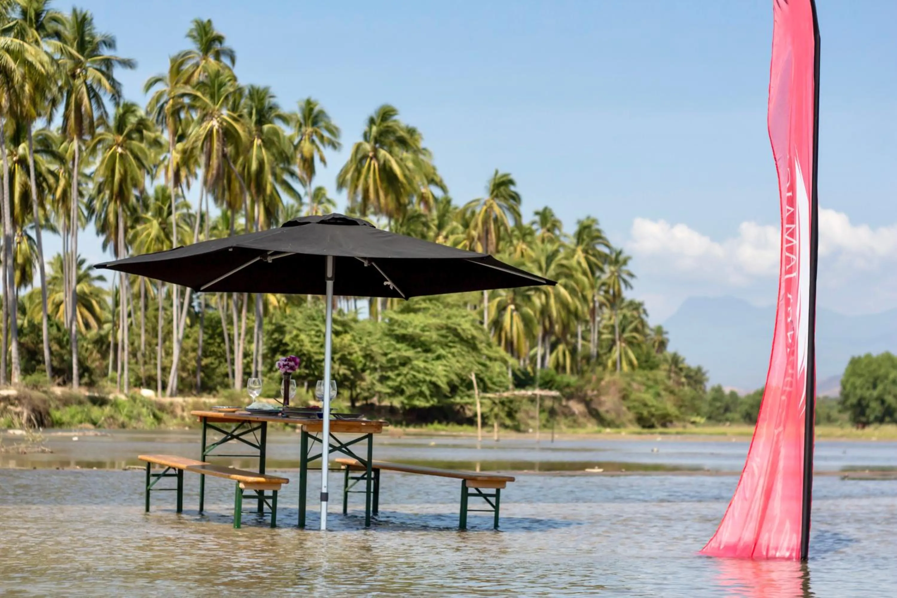 Activities in Hotel Boutique Punta Jamaica