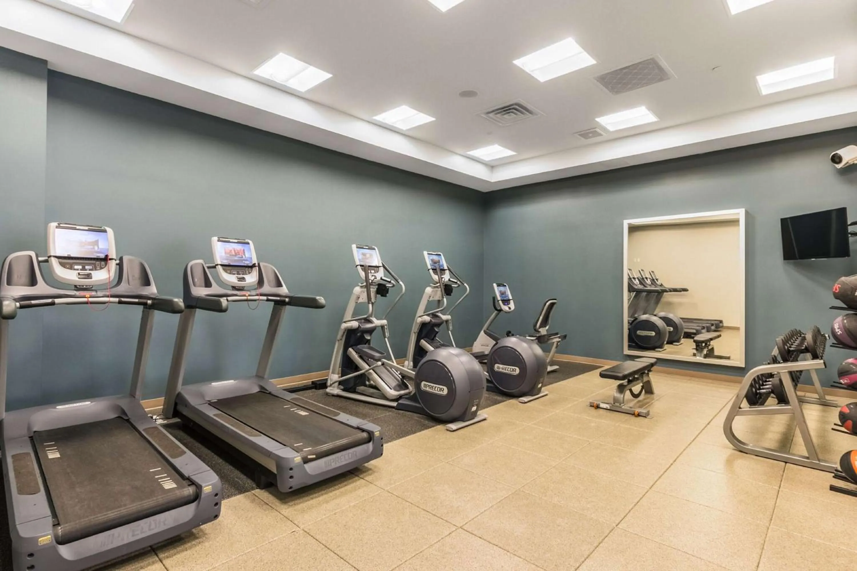 Fitness centre/facilities in Embassy Suites by Hilton Newark Airport