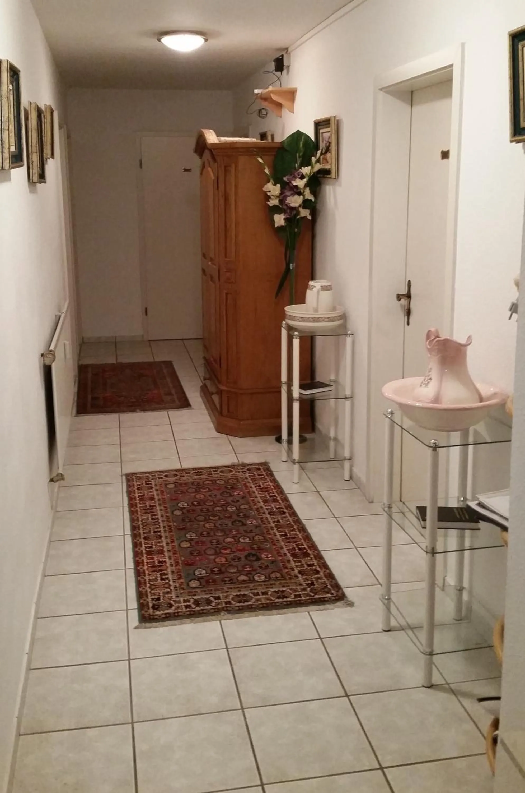 Area and facilities in Hotel Restaurant Anna