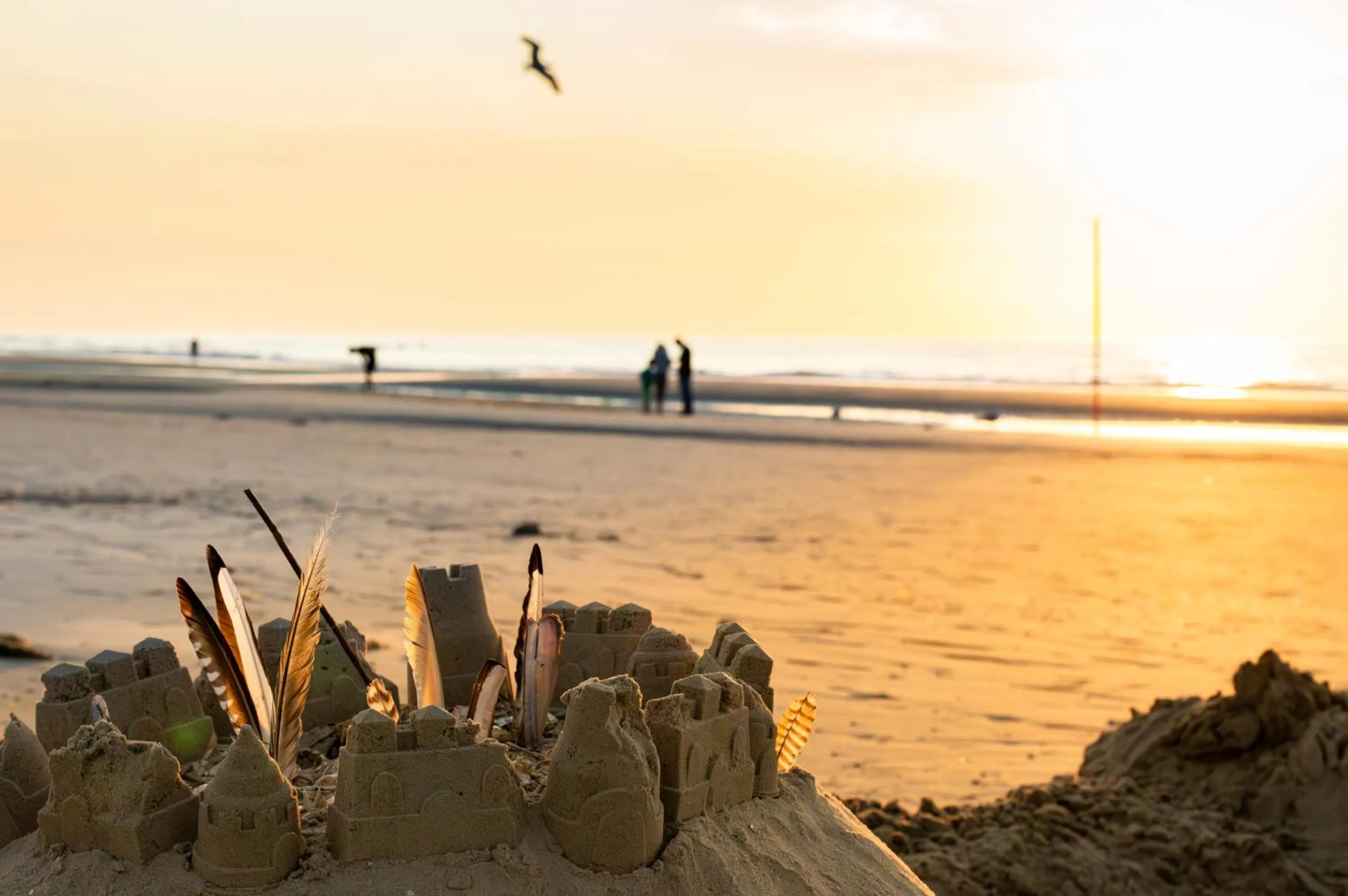 Natural landscape in Hotel Atlantic Juist