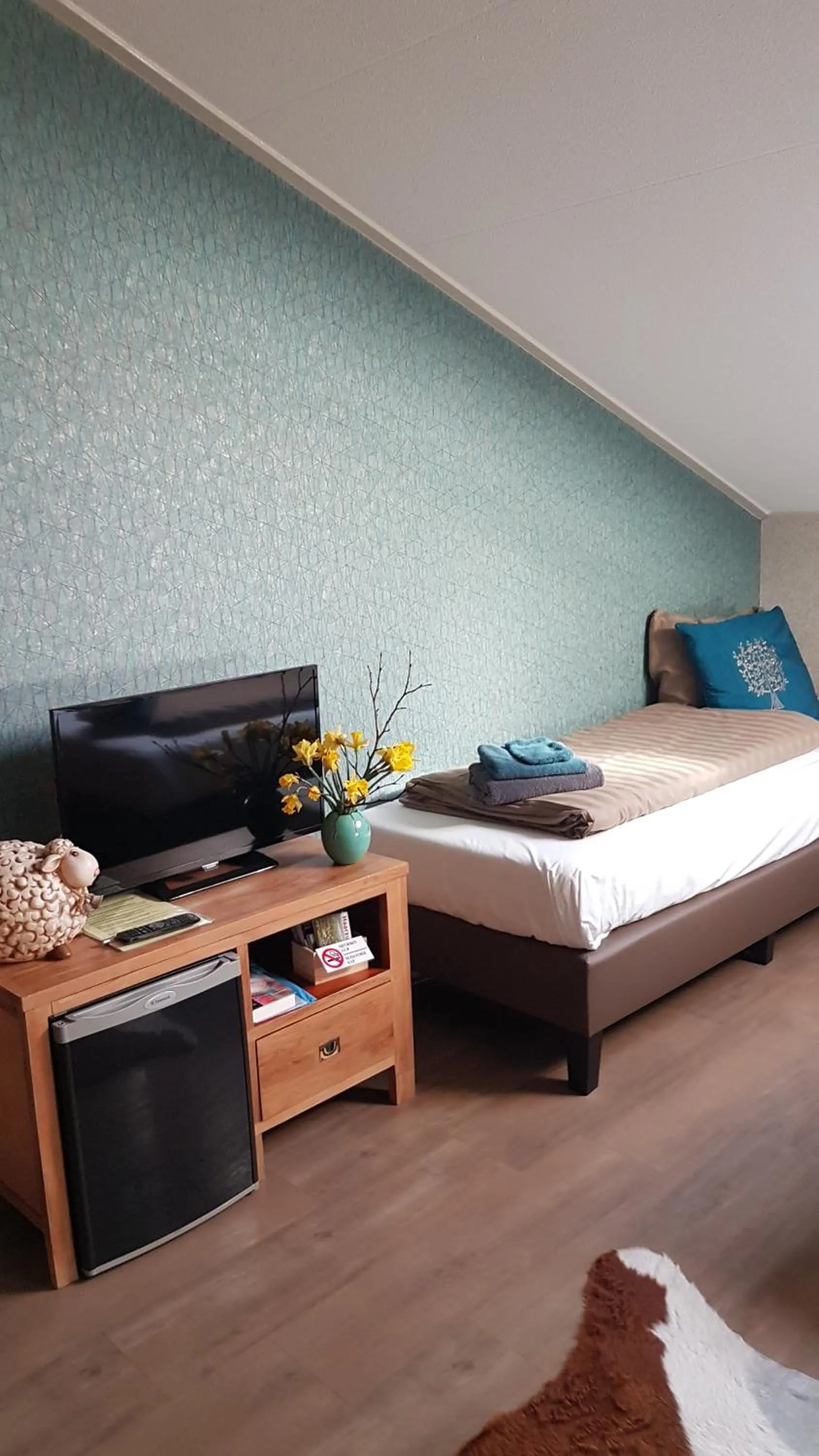 TV and multimedia, Bed in Boerderij Hazenveld