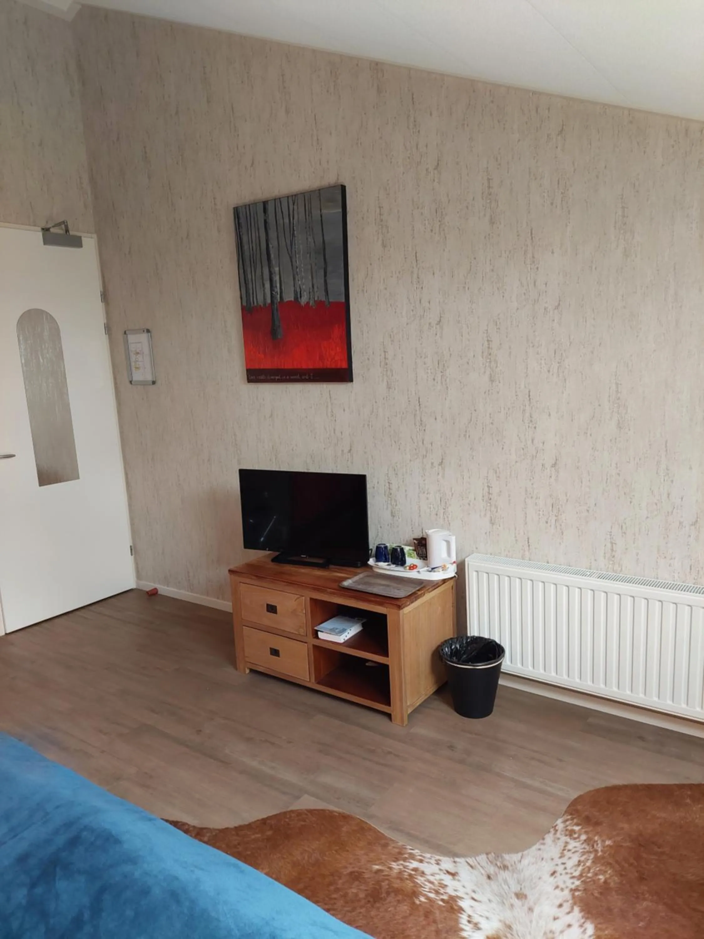 TV and multimedia in Boerderij Hazenveld