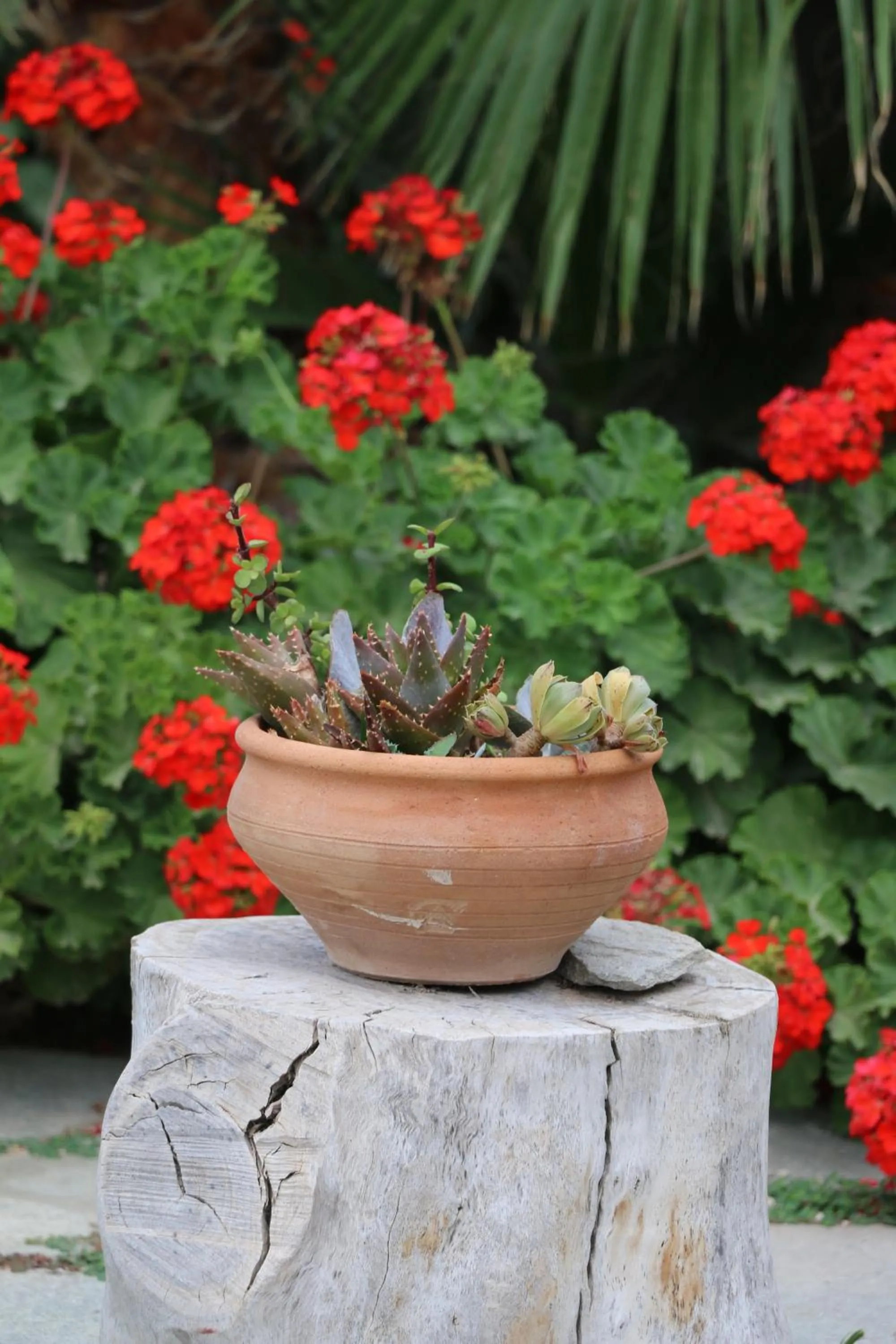 SPIROS & HIROKO Hotel - ADULTS ONLY