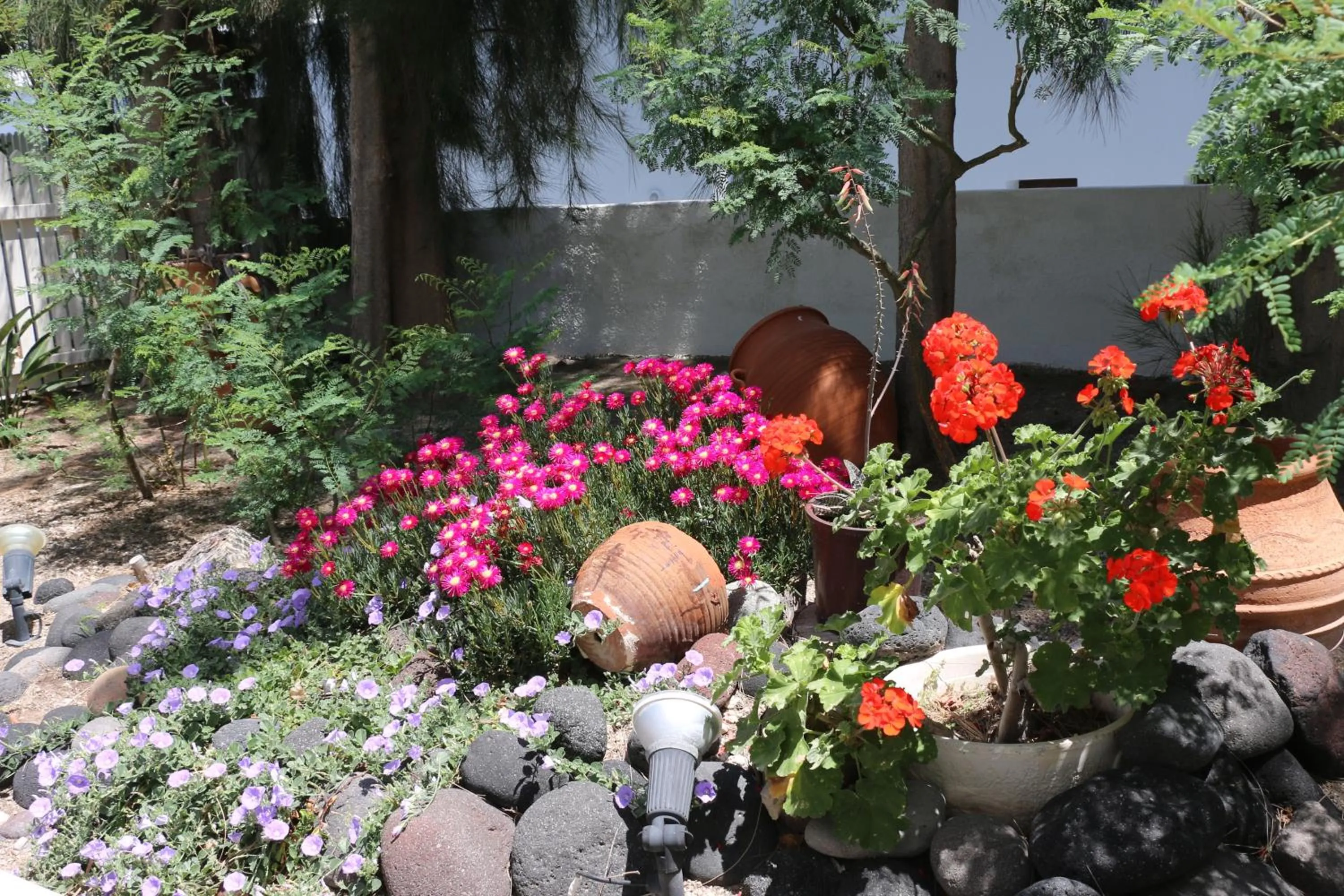 SPIROS & HIROKO Hotel - ADULTS ONLY