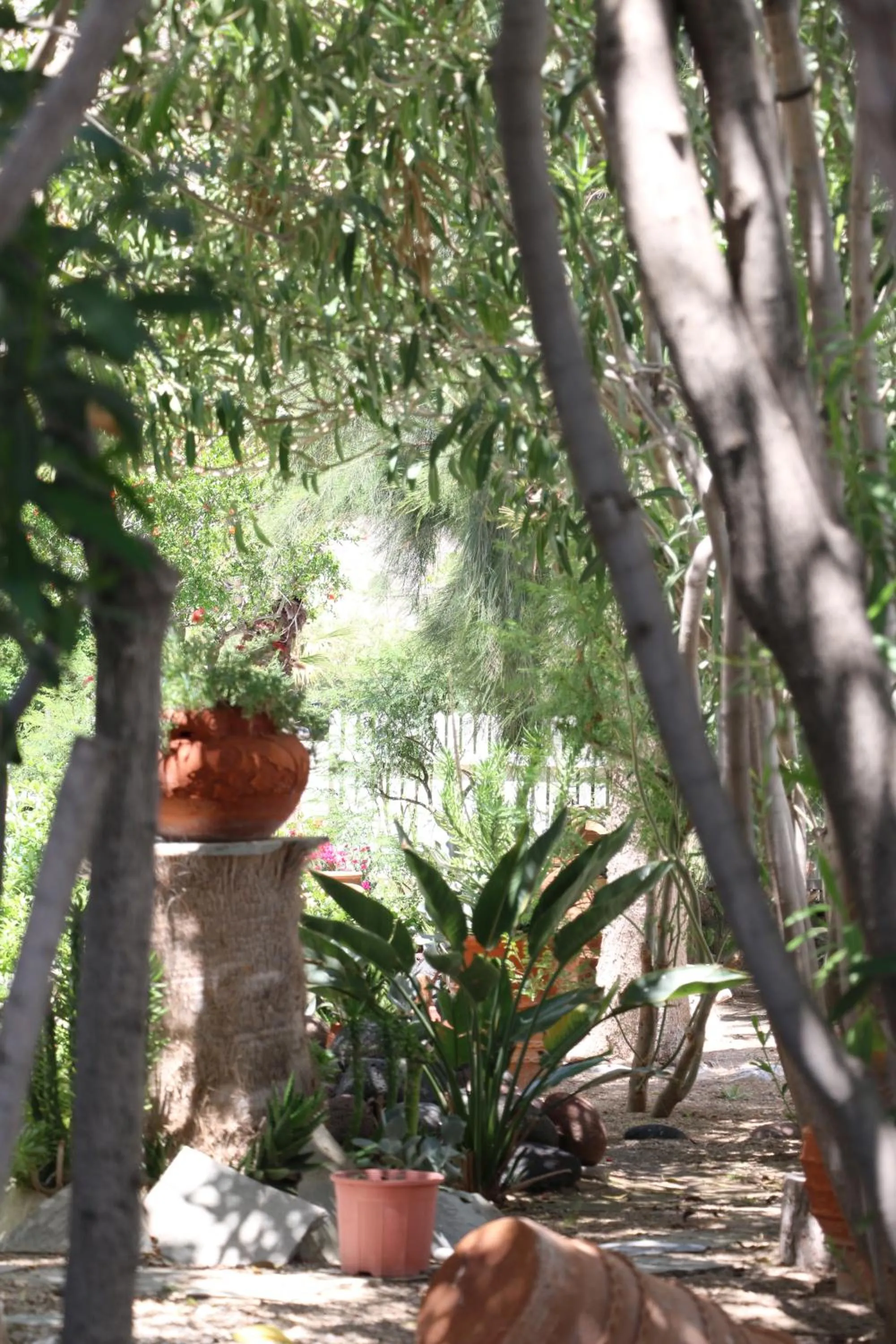 SPIROS & HIROKO Hotel - ADULTS ONLY