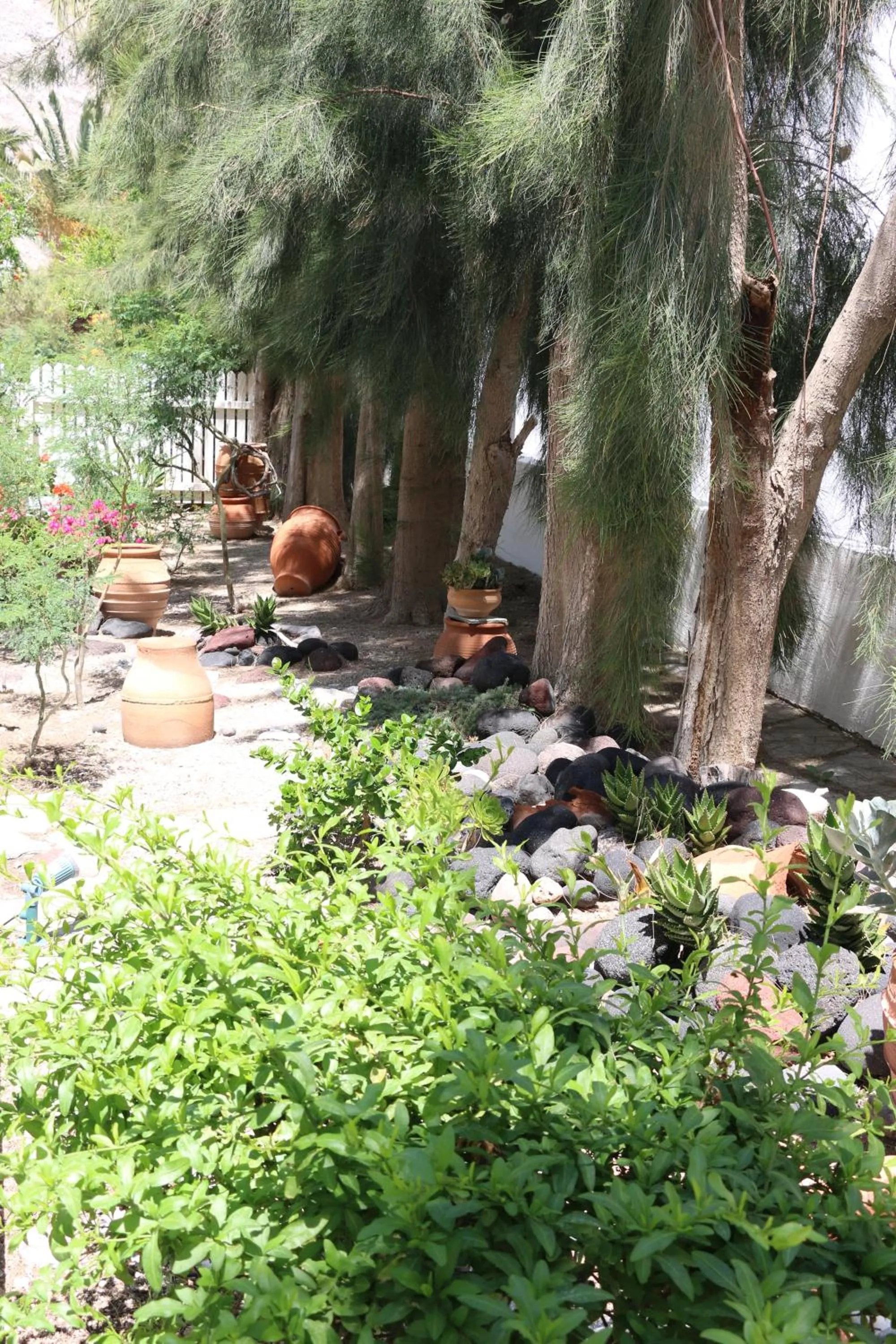 SPIROS & HIROKO Hotel - ADULTS ONLY