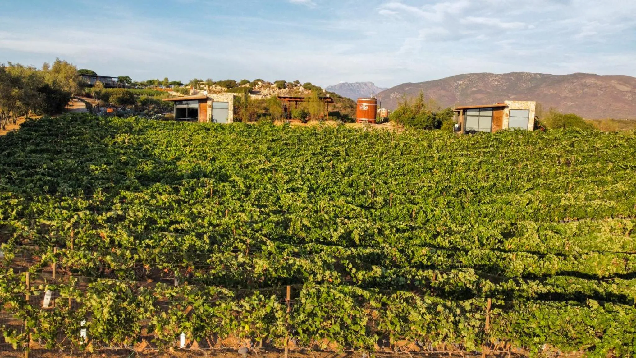 Brisa Del Valle Hotel Boutique