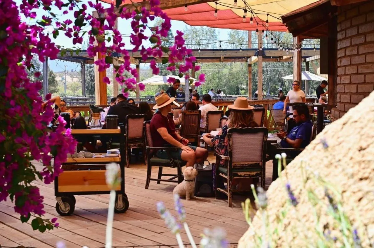 Restaurant/places to eat in Brisa Del Valle Hotel Boutique