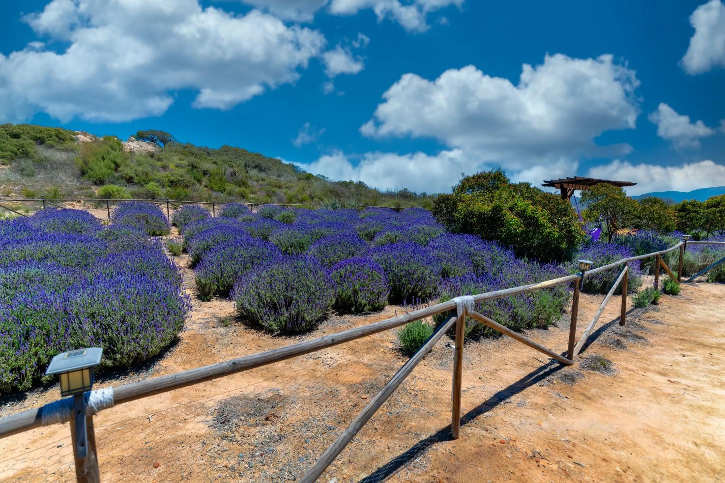 Garden in Brisa Del Valle Hotel Boutique