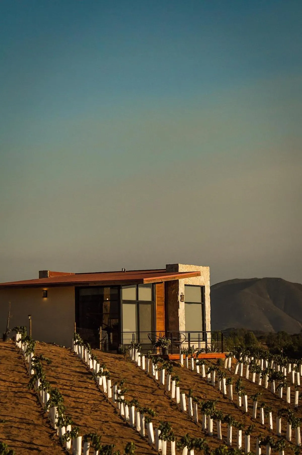 Natural landscape in Brisa Del Valle Hotel Boutique