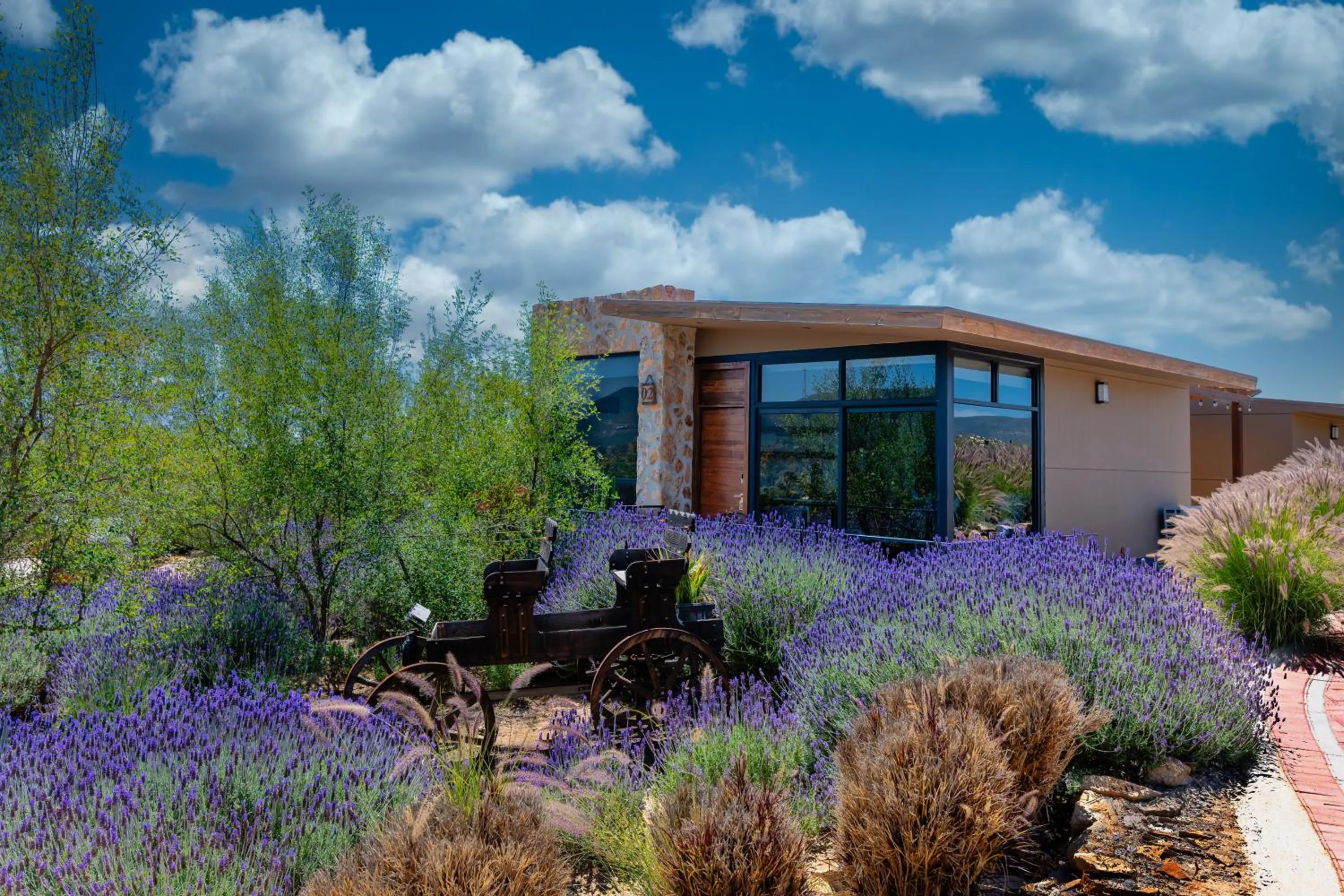 Garden in Brisa Del Valle Hotel Boutique
