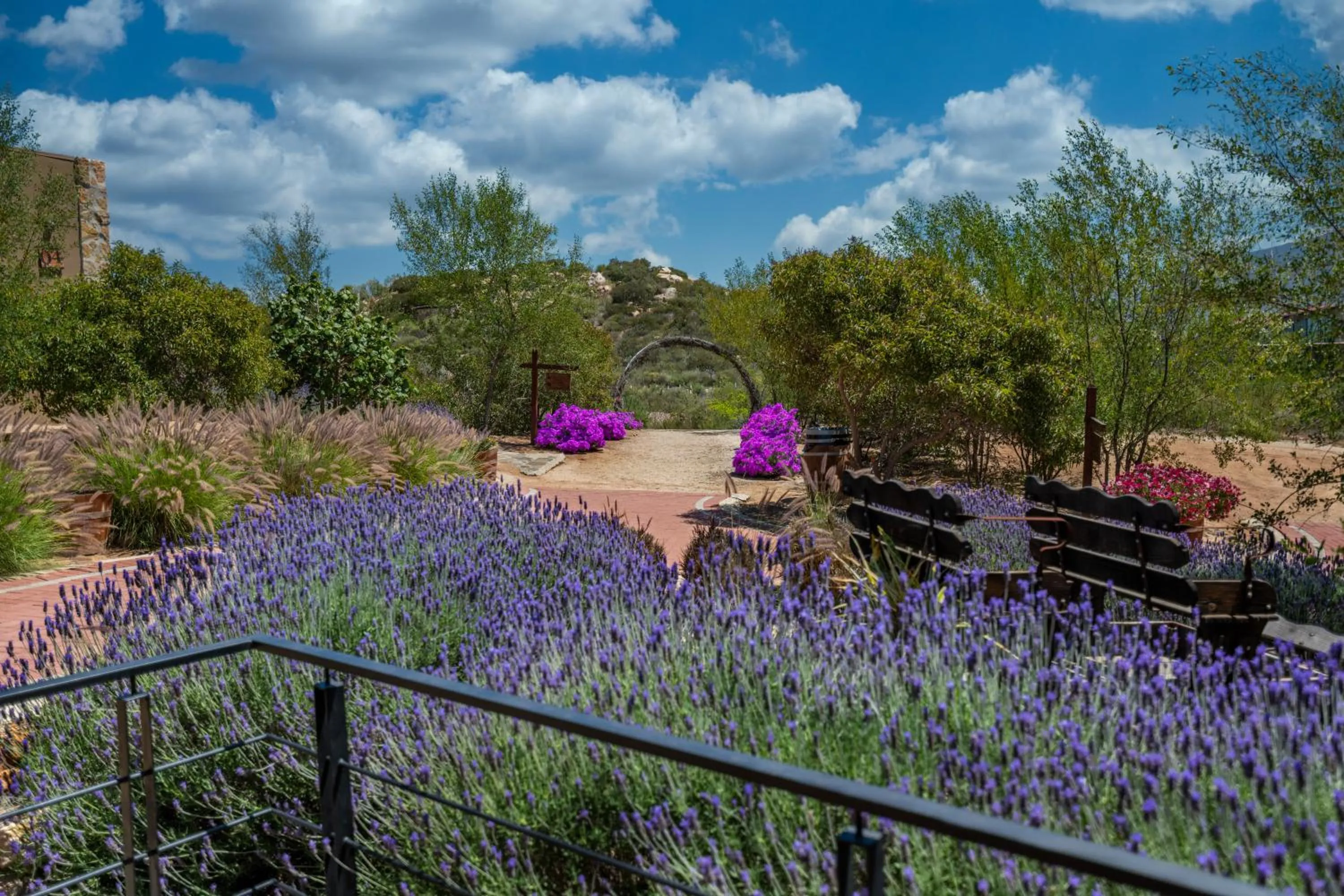 Garden in Brisa Del Valle Hotel Boutique