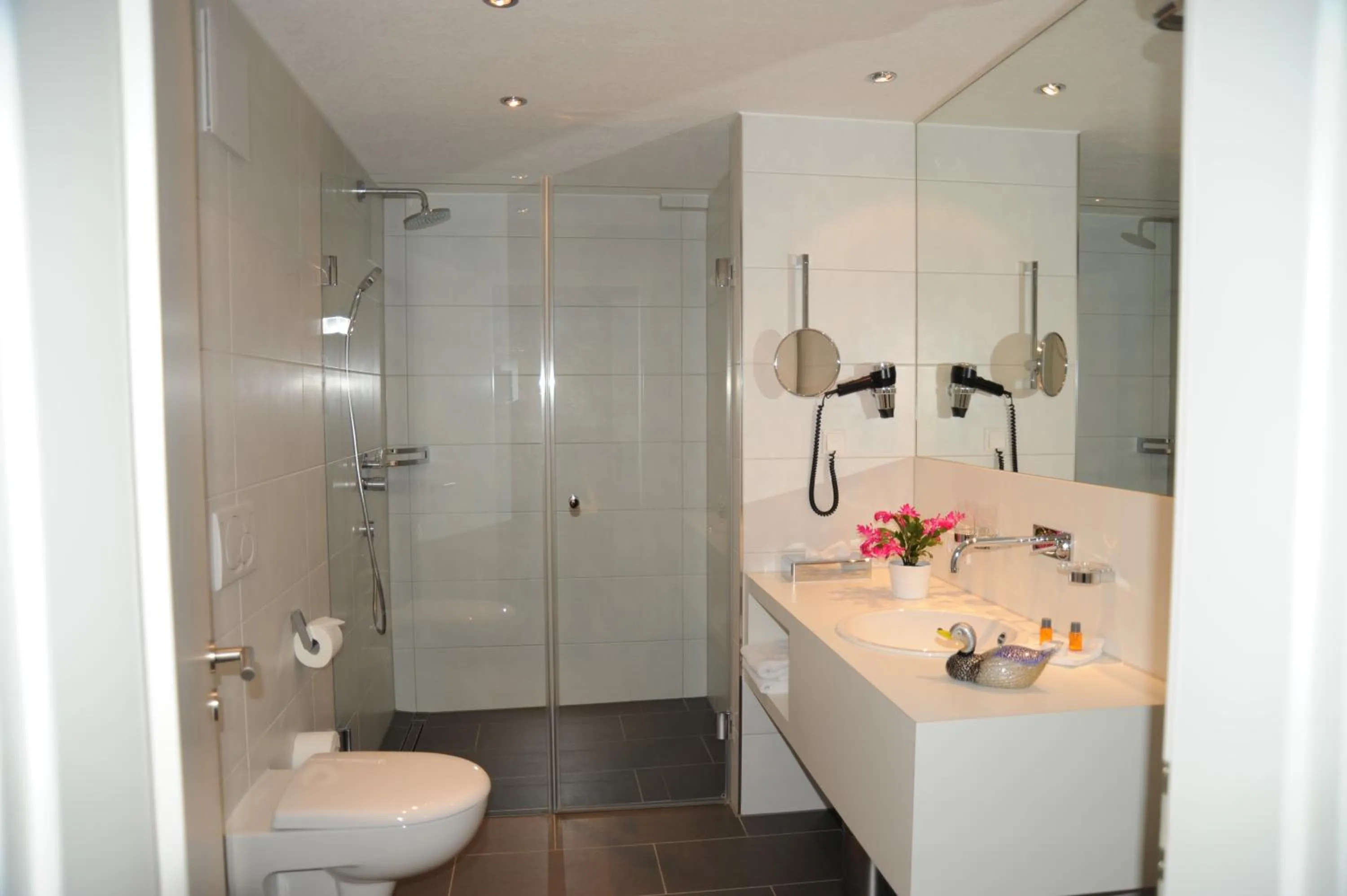 Bathroom in Hotel Adler - Weil am Rhein