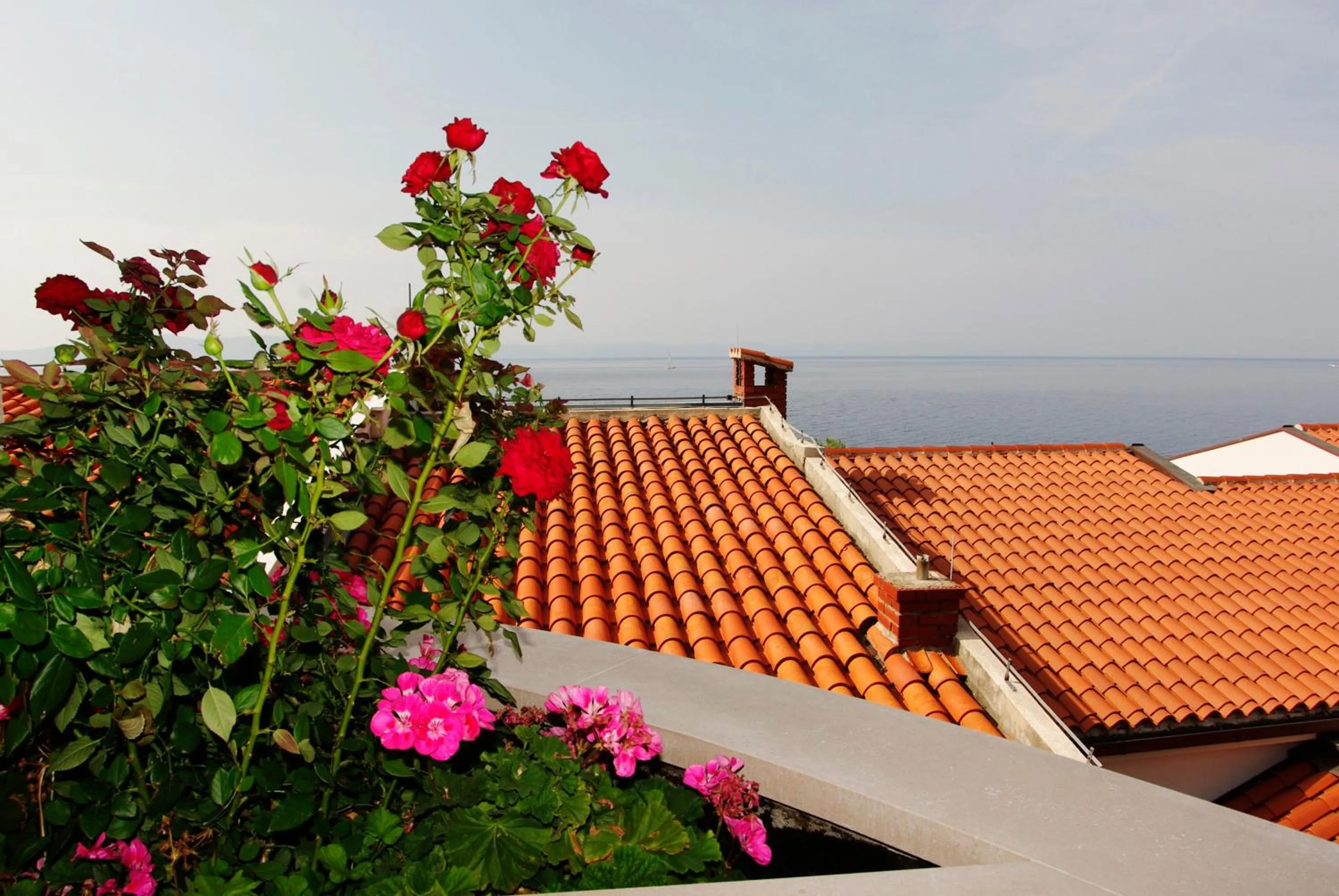 Day in Hotel Villa Marija