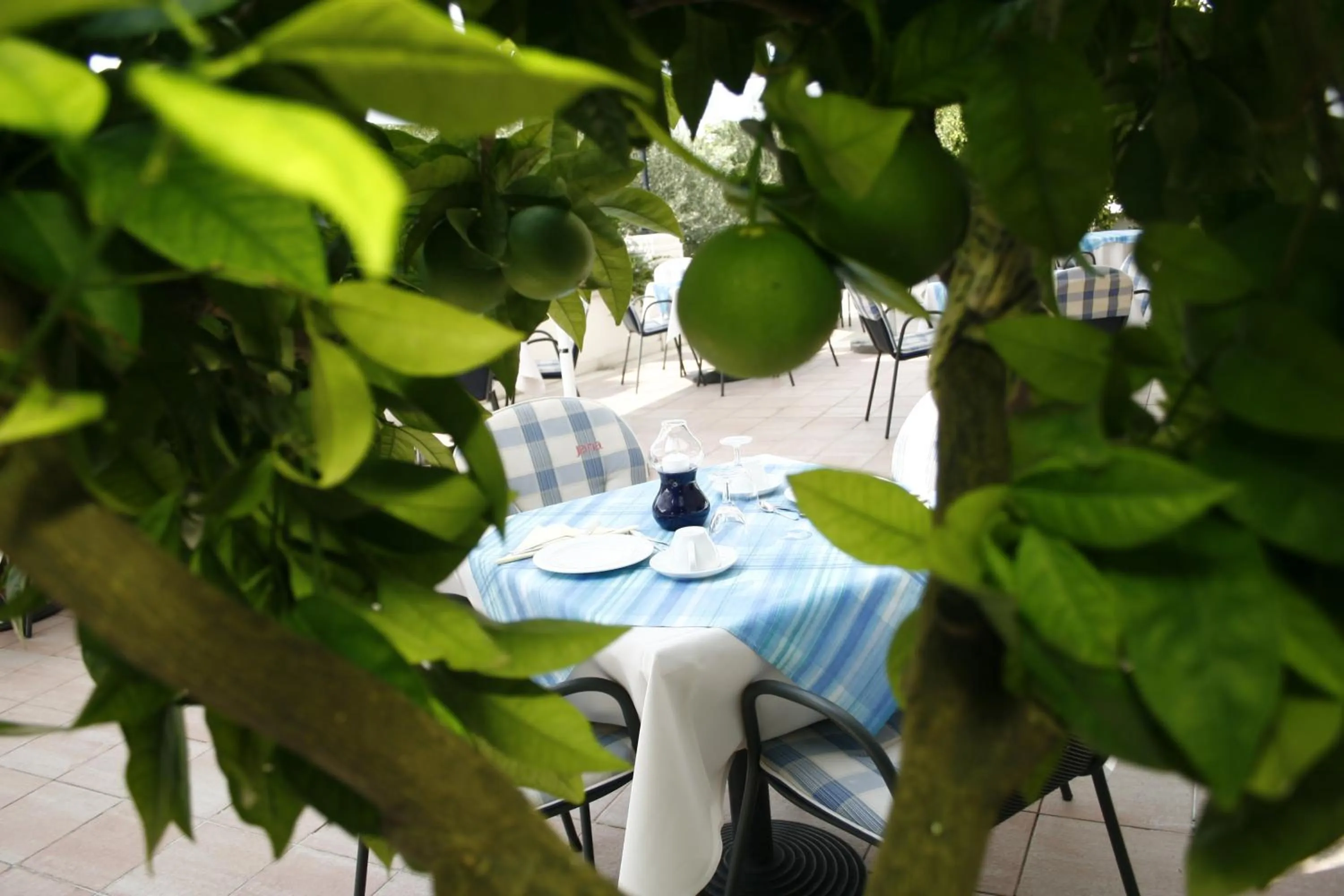 Restaurant/places to eat in Hotel Villa Marija