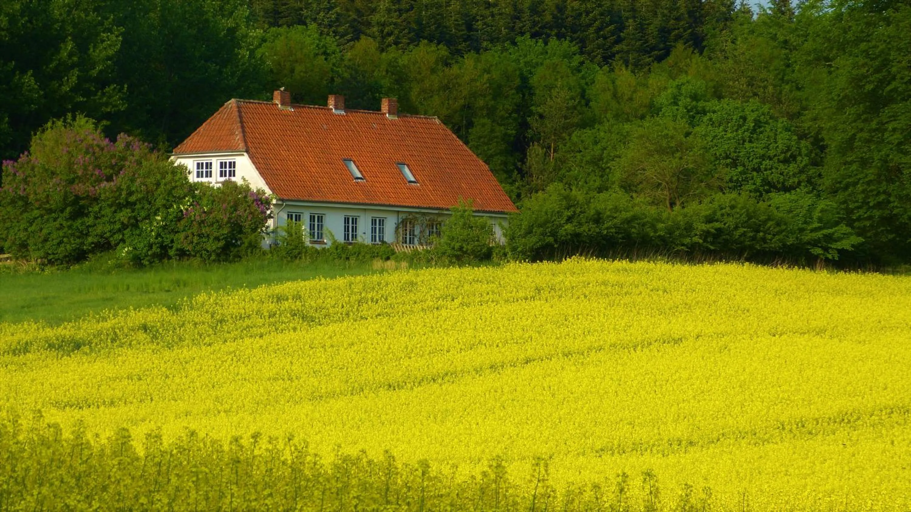 Natural landscape in Hotel Am Kurpark